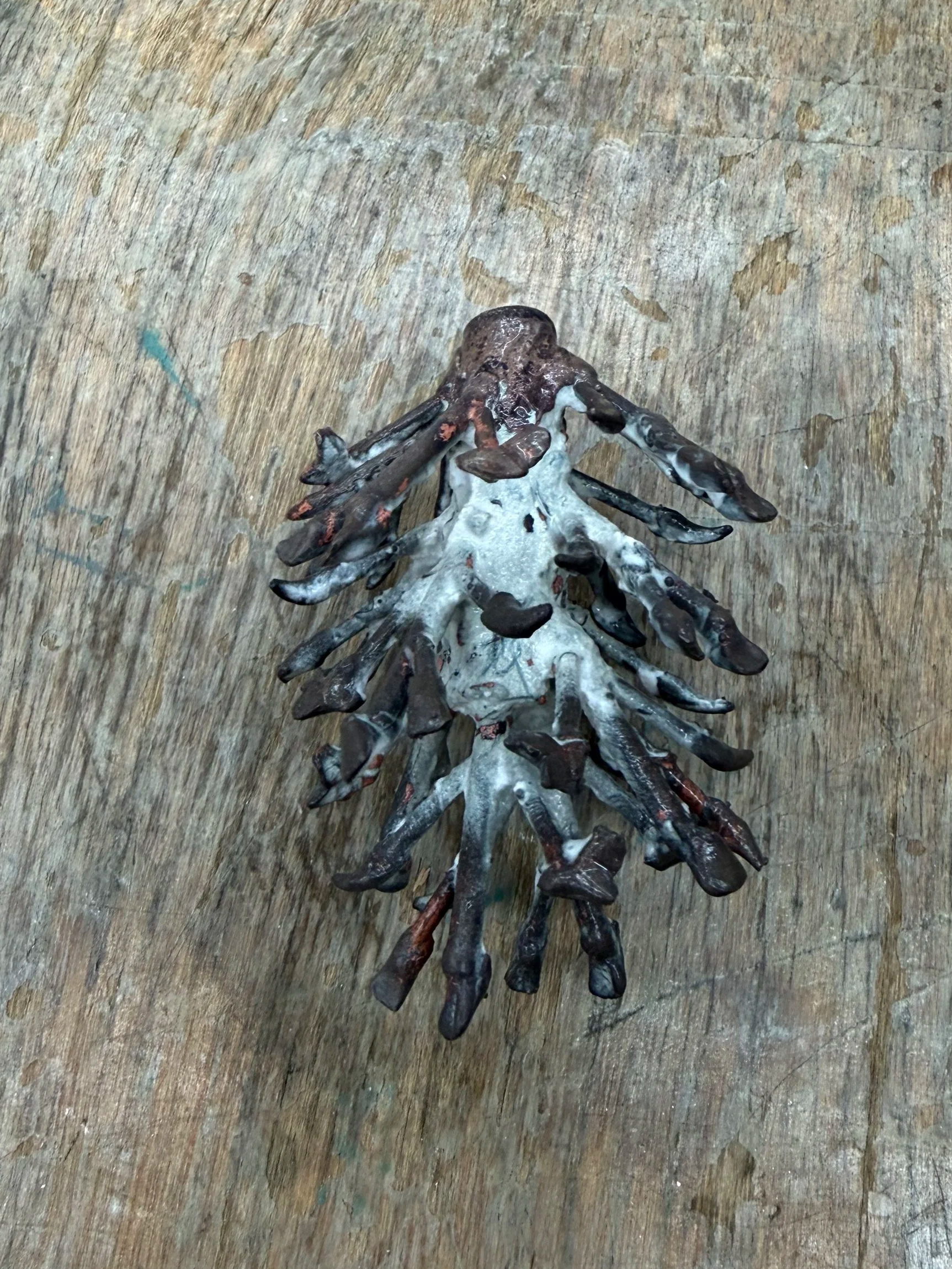 only half of my tree came out :(