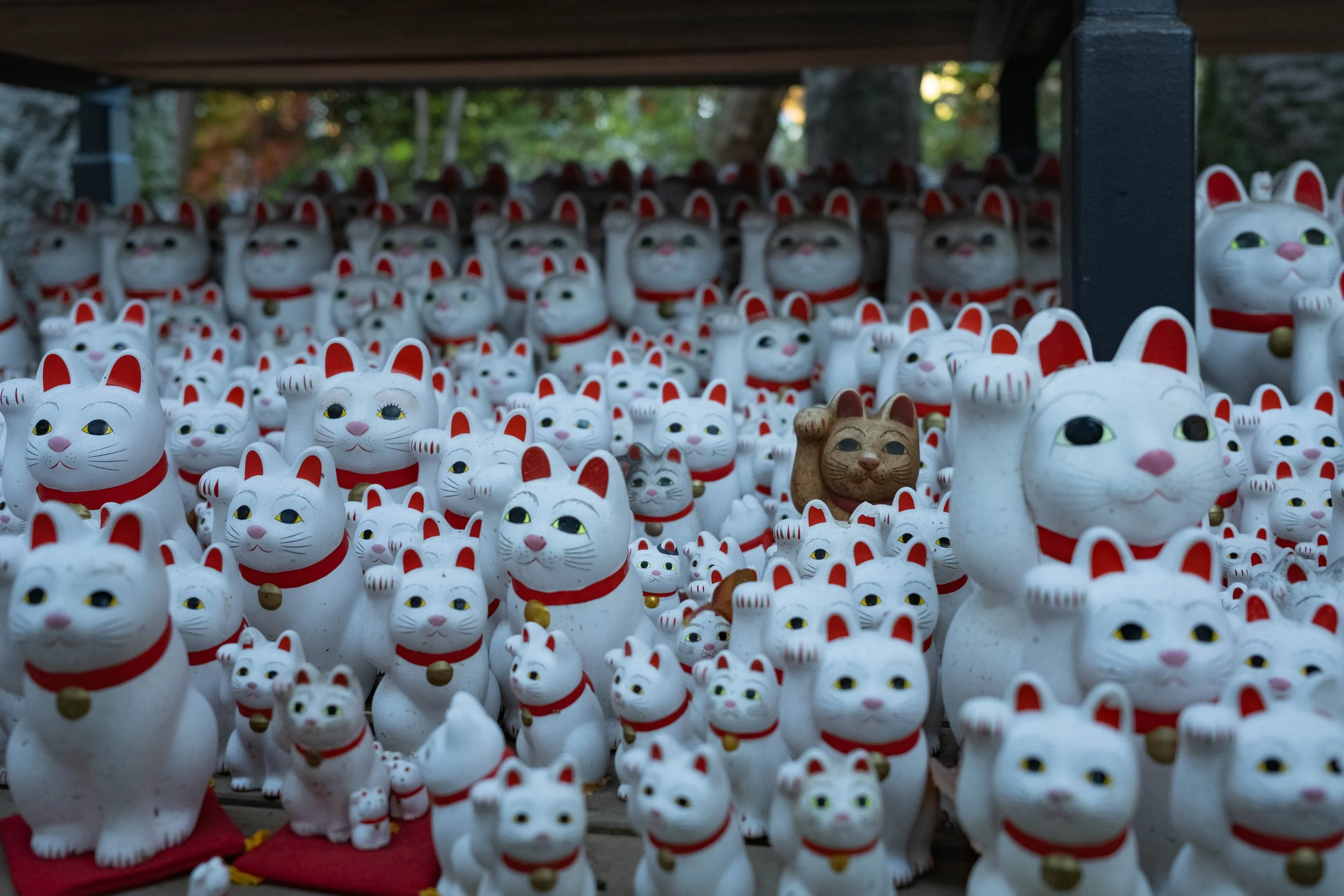 DSCF2013-2.jpg