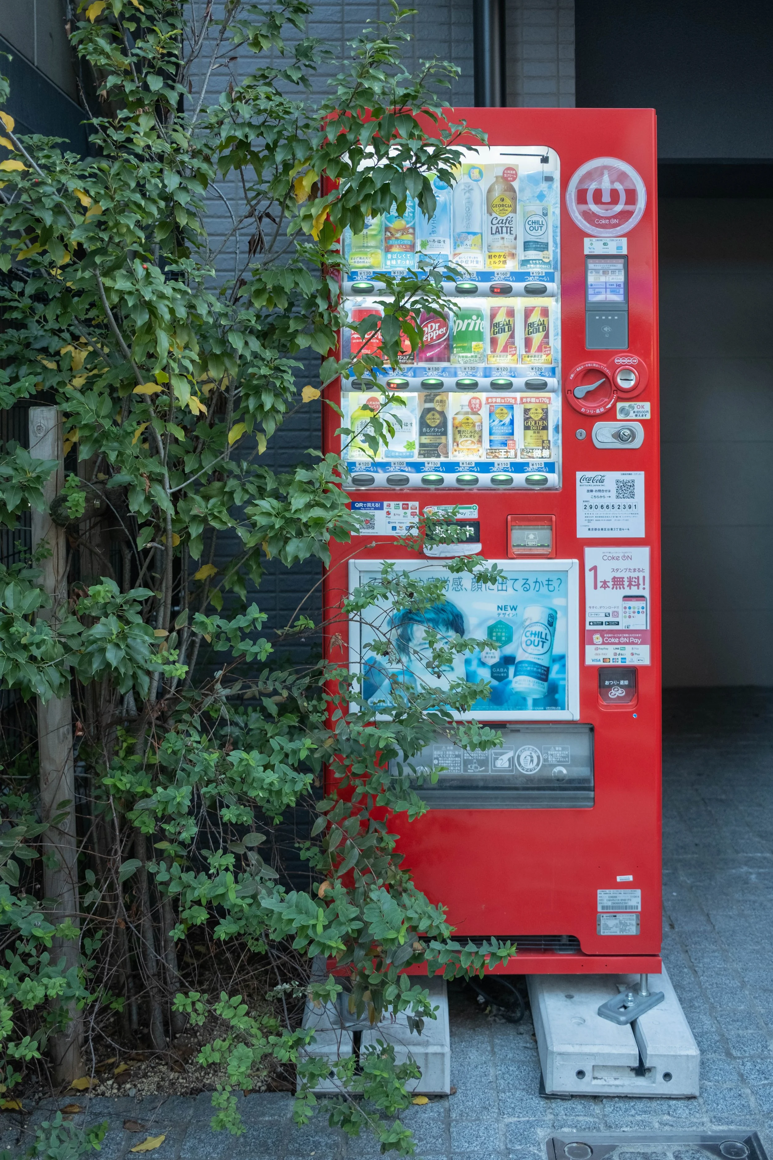 DSCF1879-2.jpg