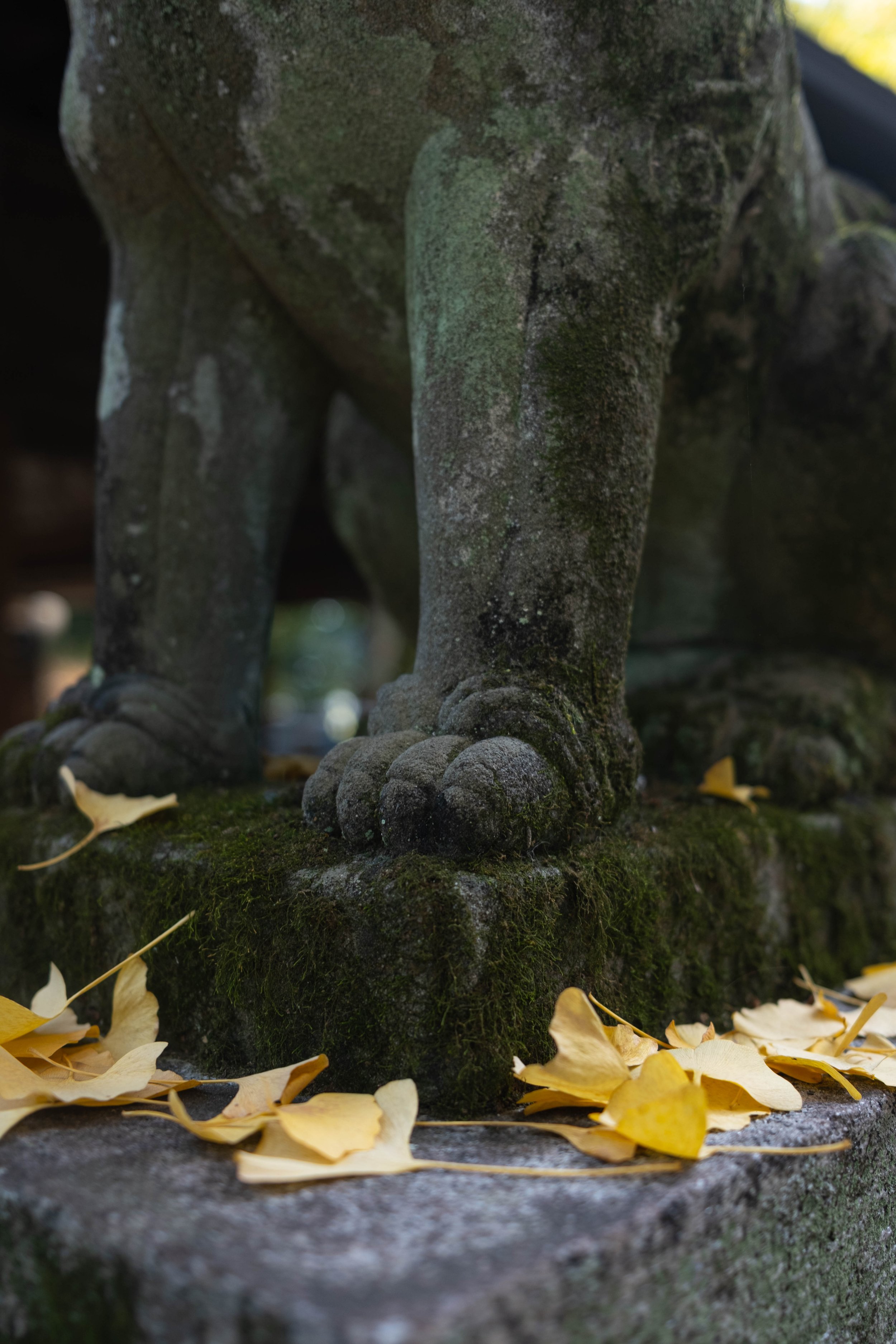 DSCF2144-2.jpg
