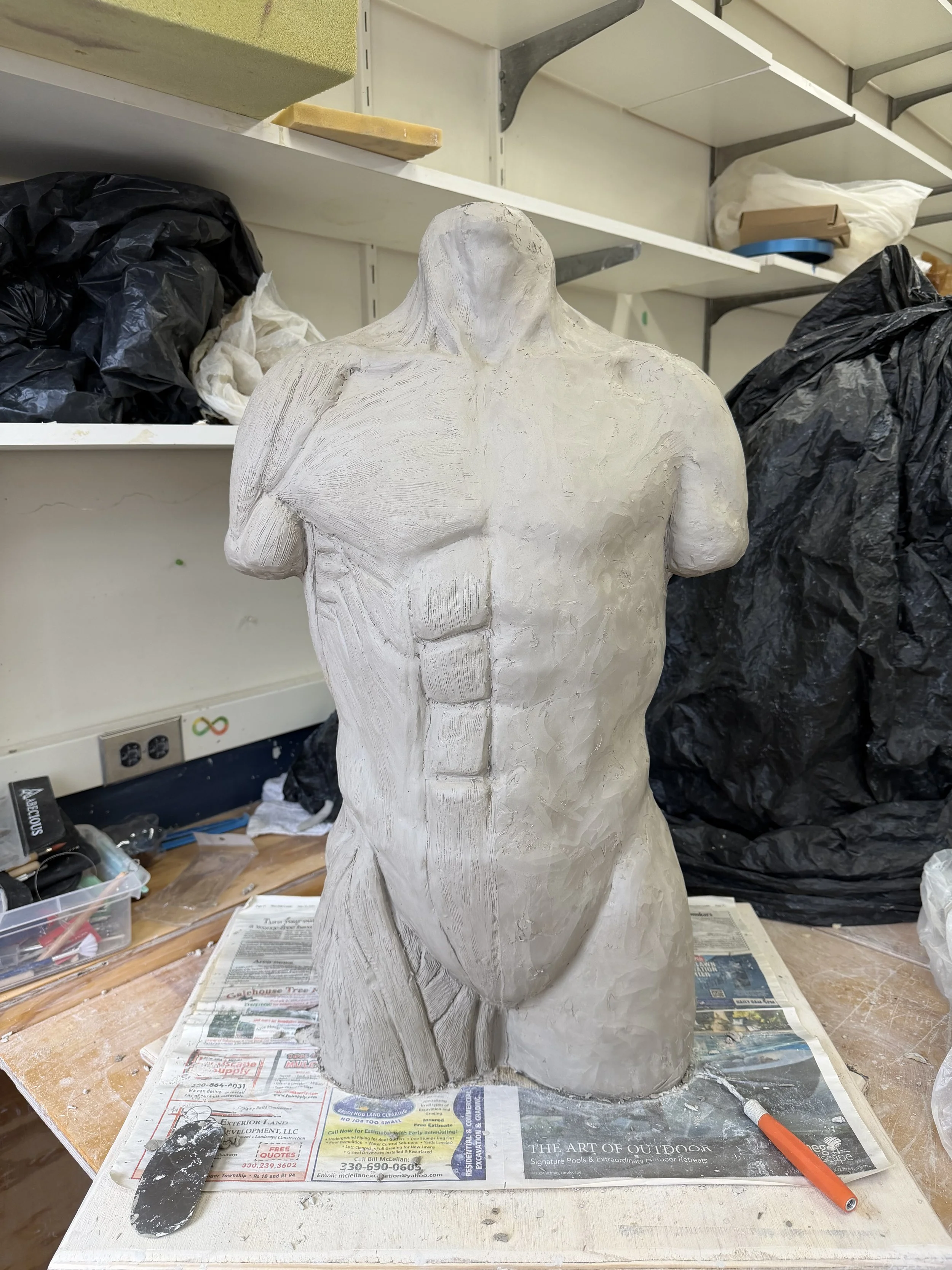 muscles/flesh front