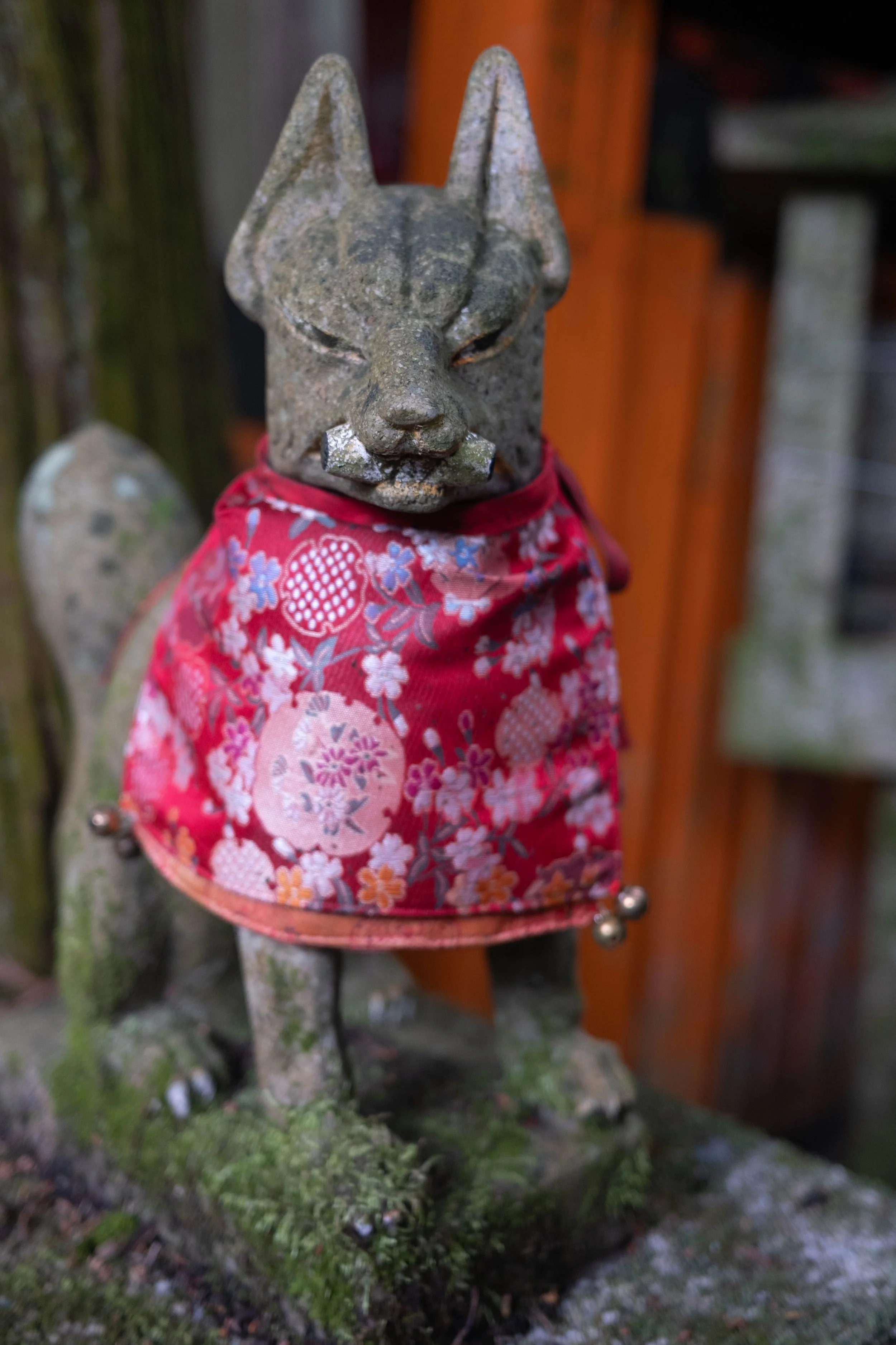 DSCF2428-2.jpg