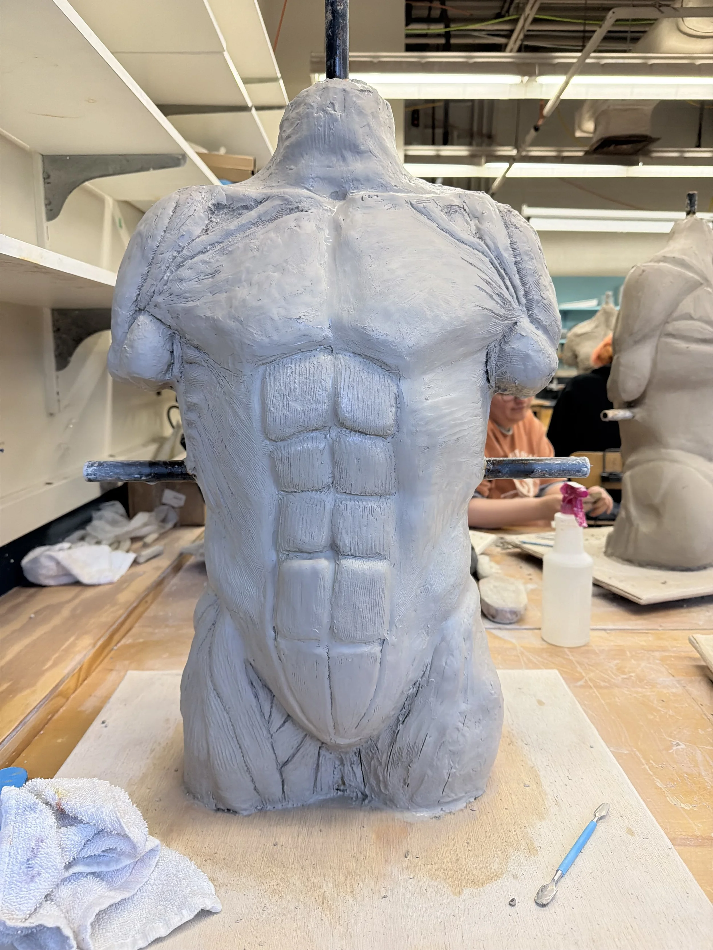 all muscles before building flesh on top