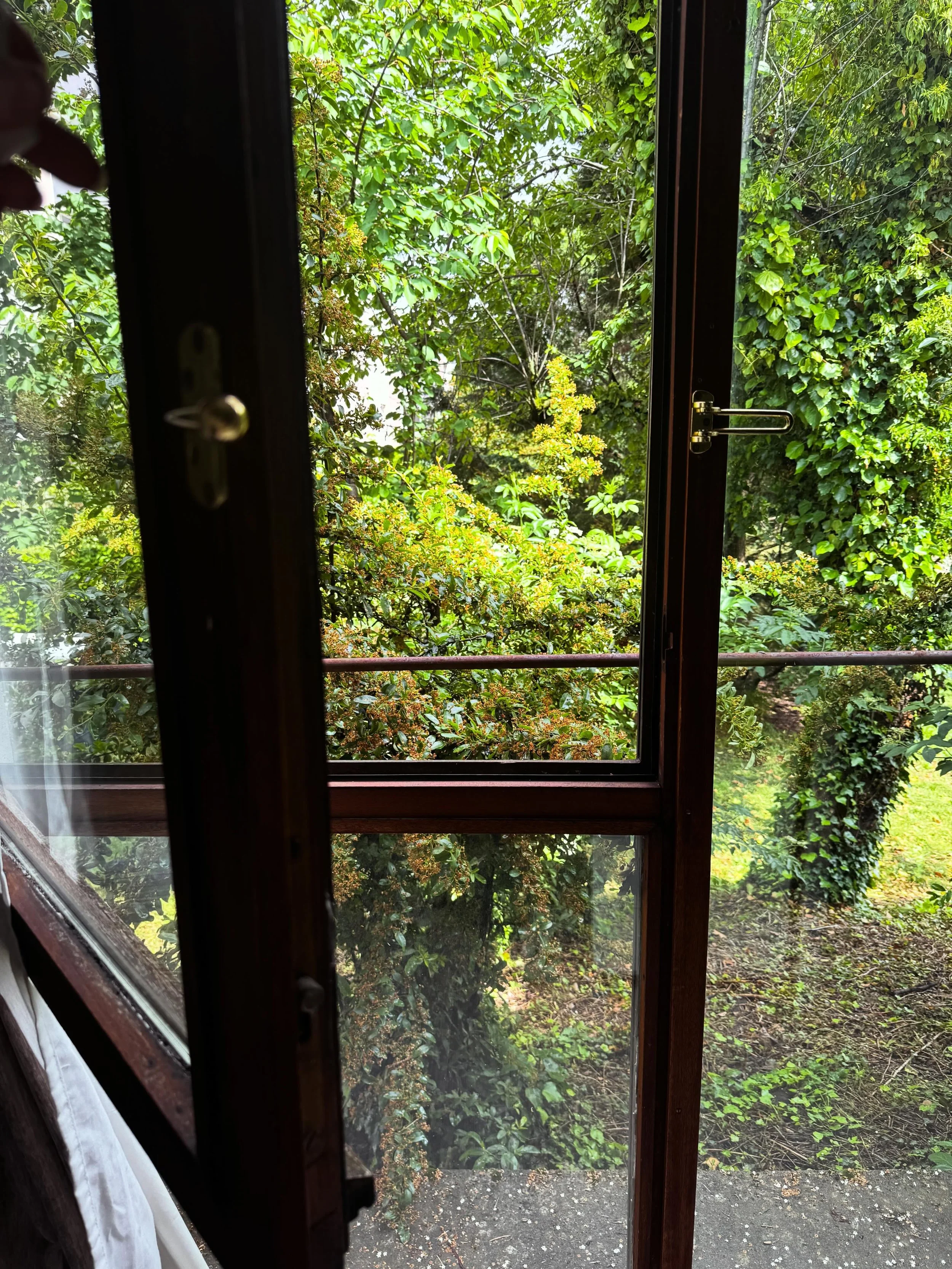 🌿 j&rsquo;ai commenc&eacute; &agrave; prendre en photo tous les trucs verts de la p&eacute;pite 
et je me suis rendu compte qu&rsquo;il y en a vraiment partout avec le printemps 💚
Bienvenues aux bureaux, r&eacute;unions et s&eacute;minaires au vert