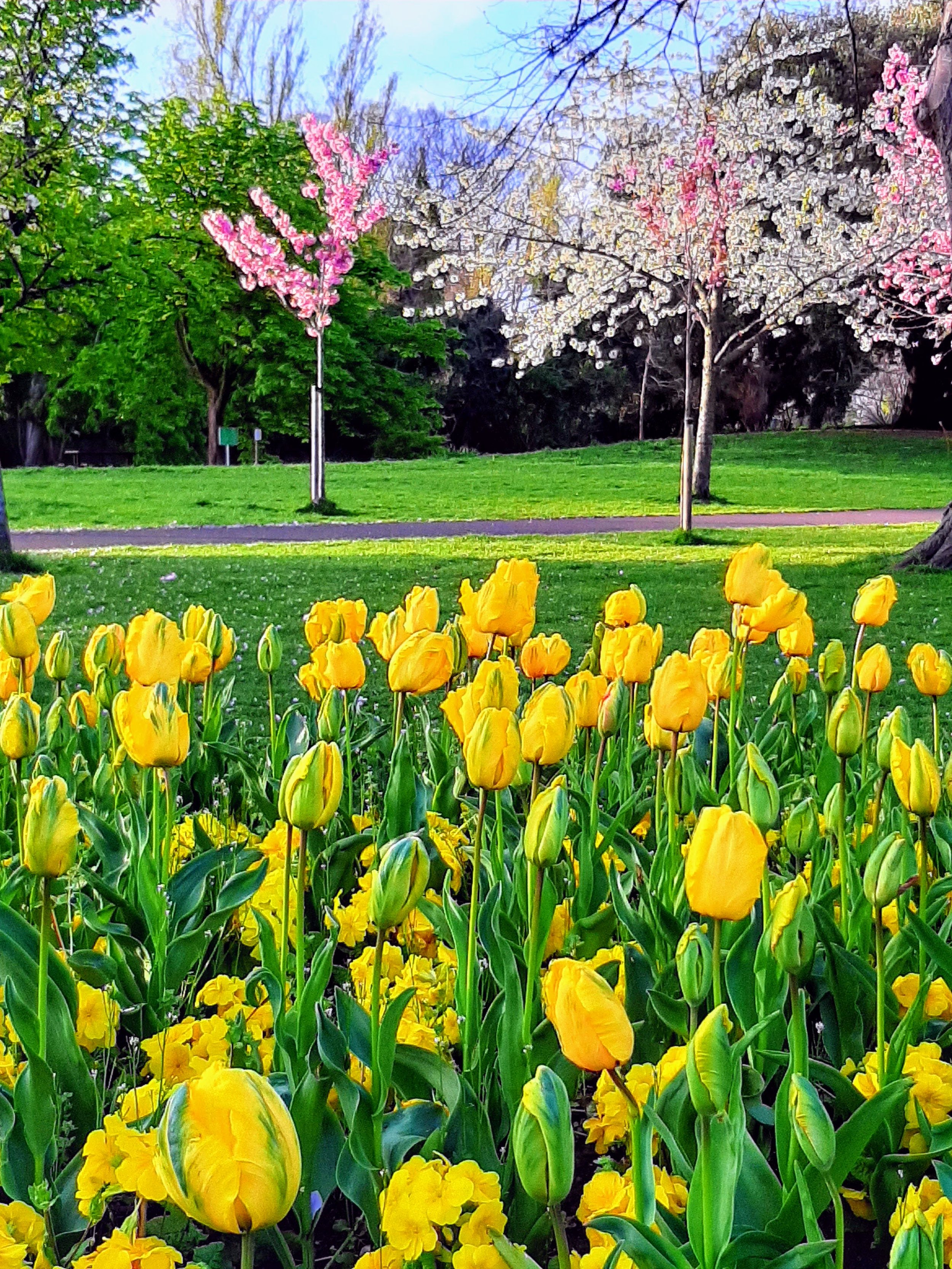 Confidence Thrive and Grow