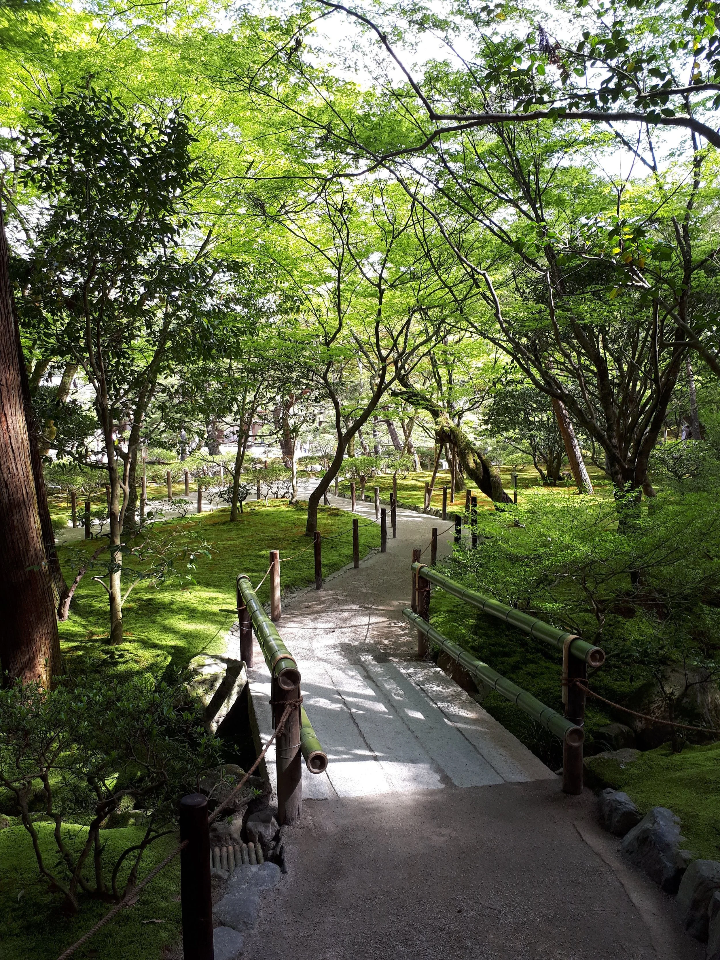 Clarity Find My Path