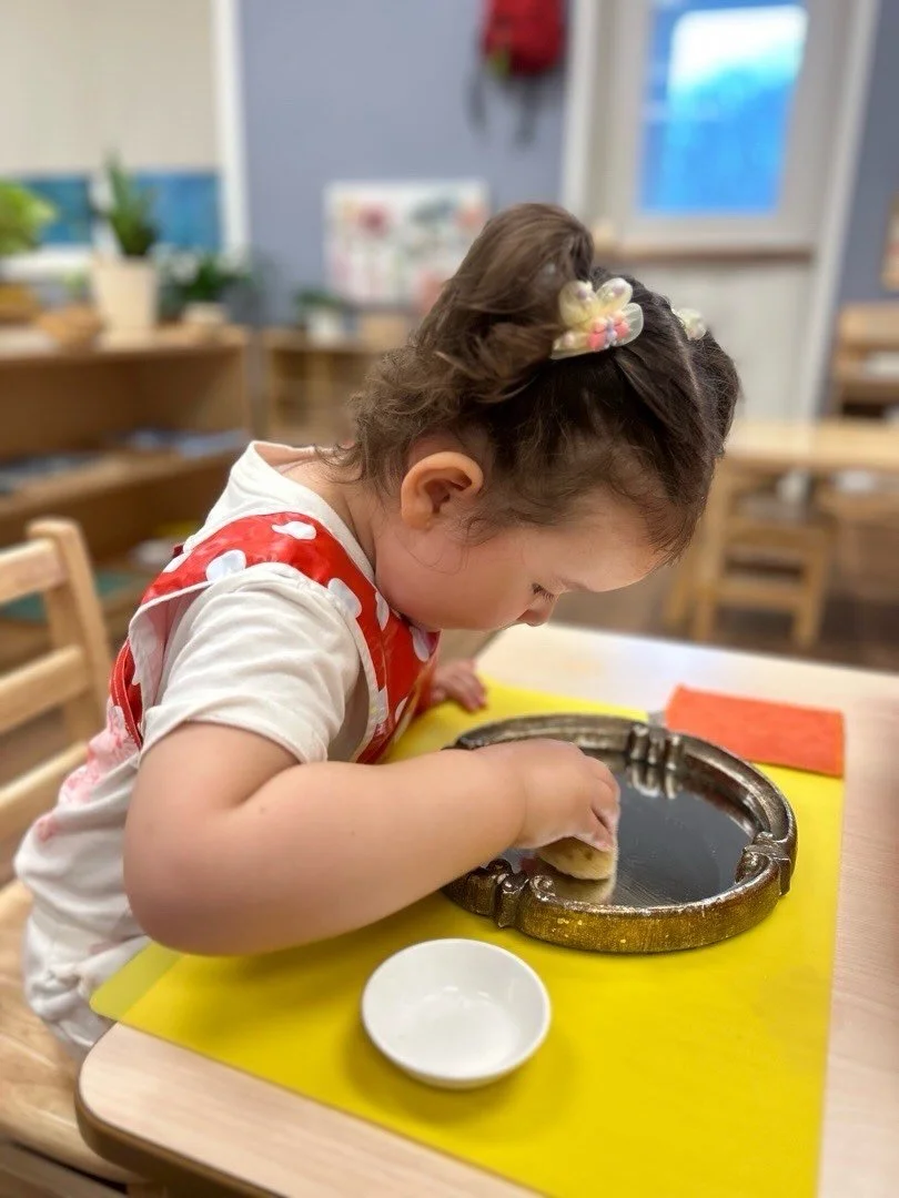 A beautiful example of control of error in the Montessori toddler environment. ✨

As this toddler carefully polishes the mirror, she can see the results of her work right away. Her reflection becomes clearer with each wipe. This natural feedback allo