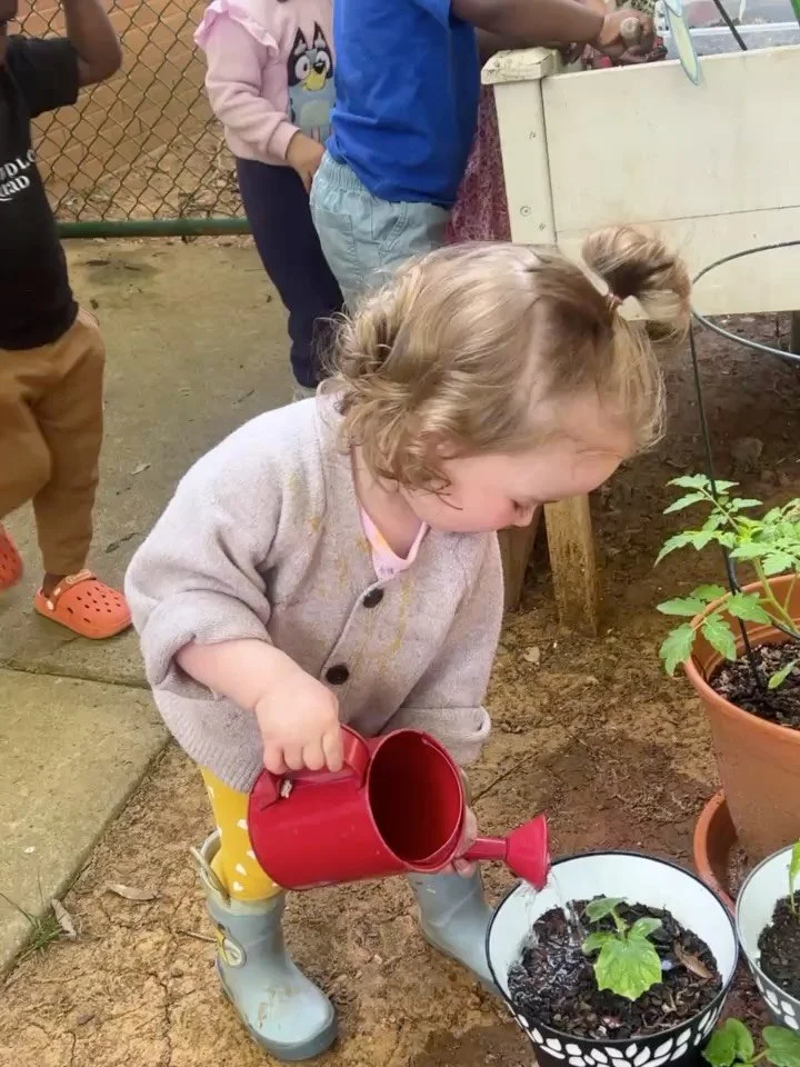 There is something so special about watching what you planted begin to grow 🌱

From germinating seeds to gently watering each day, caring for our plants brings so much excitement and pride to our environments. #charlotte #huntersvillencmoms #montess