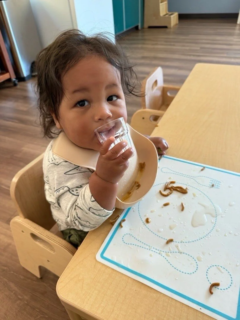 Tiny hands, purposeful work 🤍
In the Nido environment, even the youngest children are given real opportunities to build independence, care, and confidence through simple, everyday experiences #huntersvillenc #montessori #charlotte