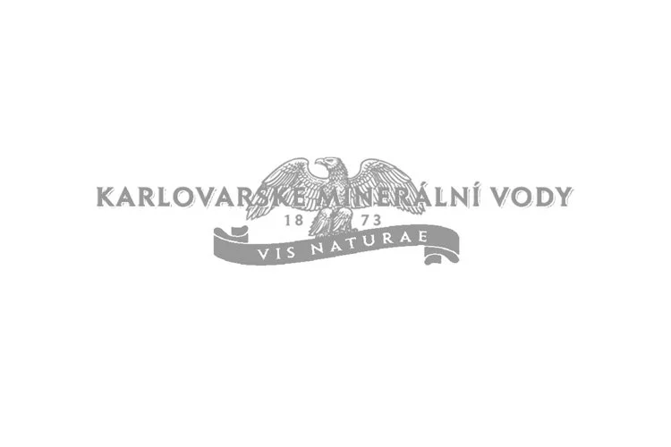 KMV Logo