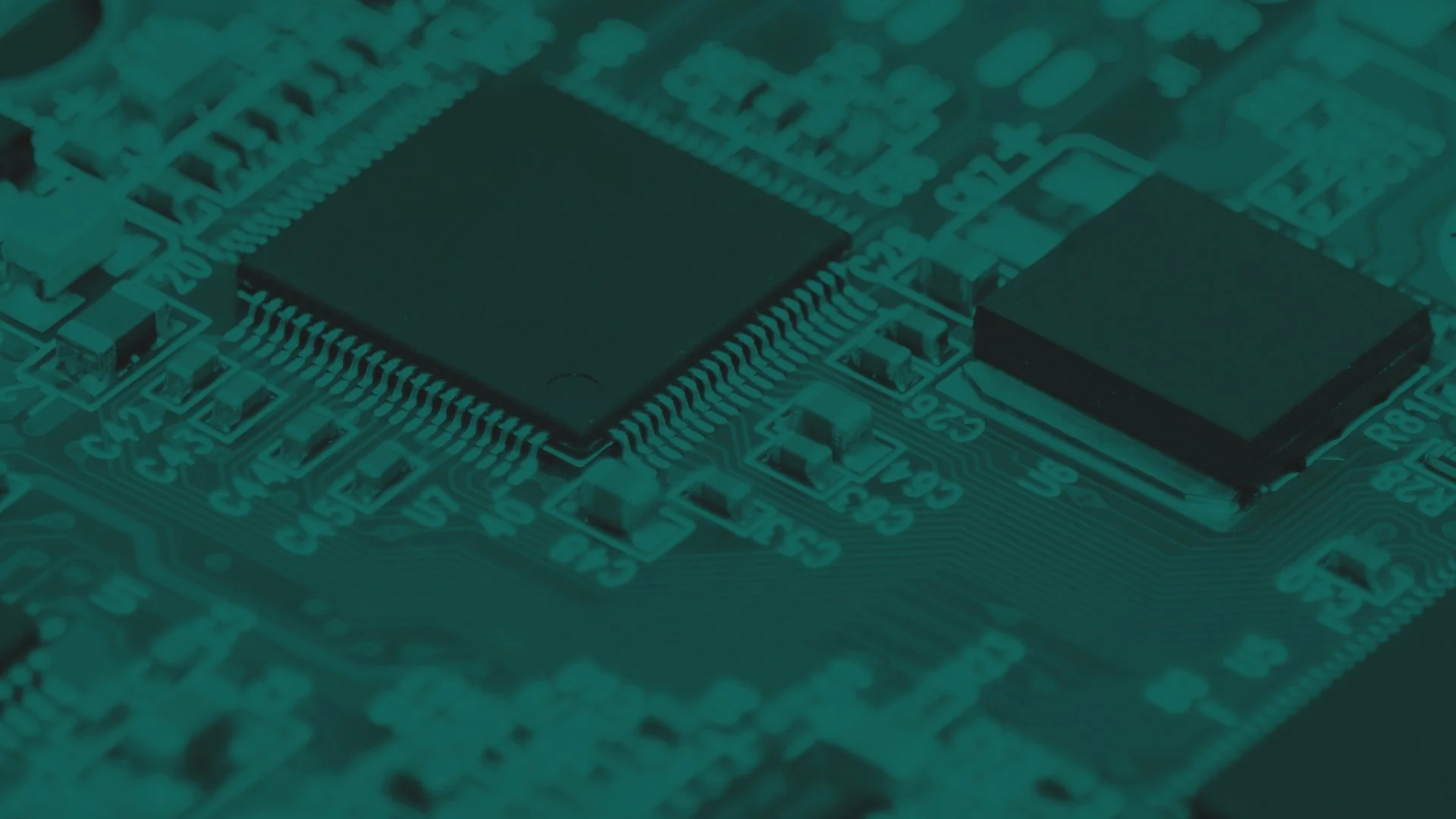 Our Service — VECTr