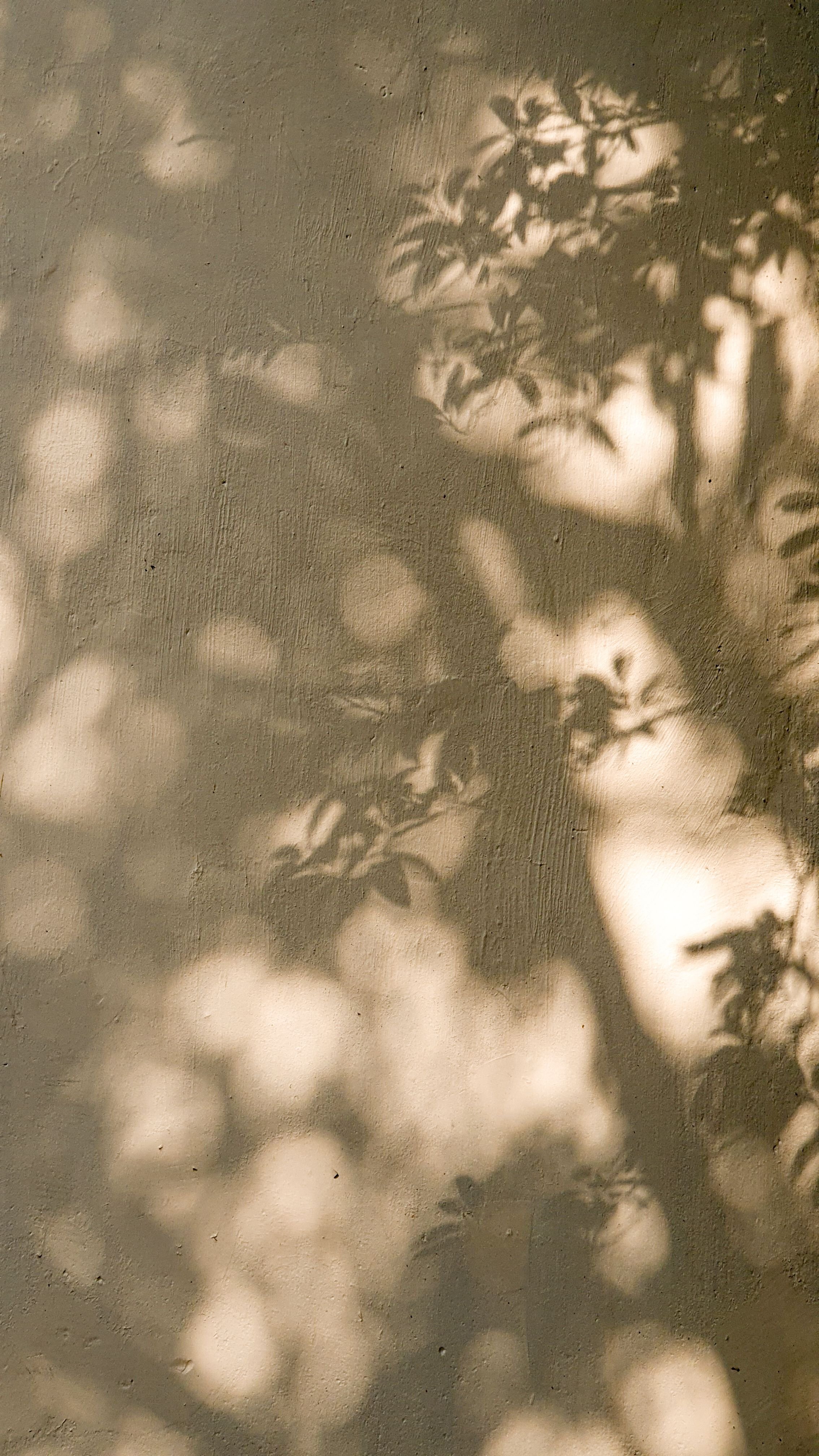 Light and shadow