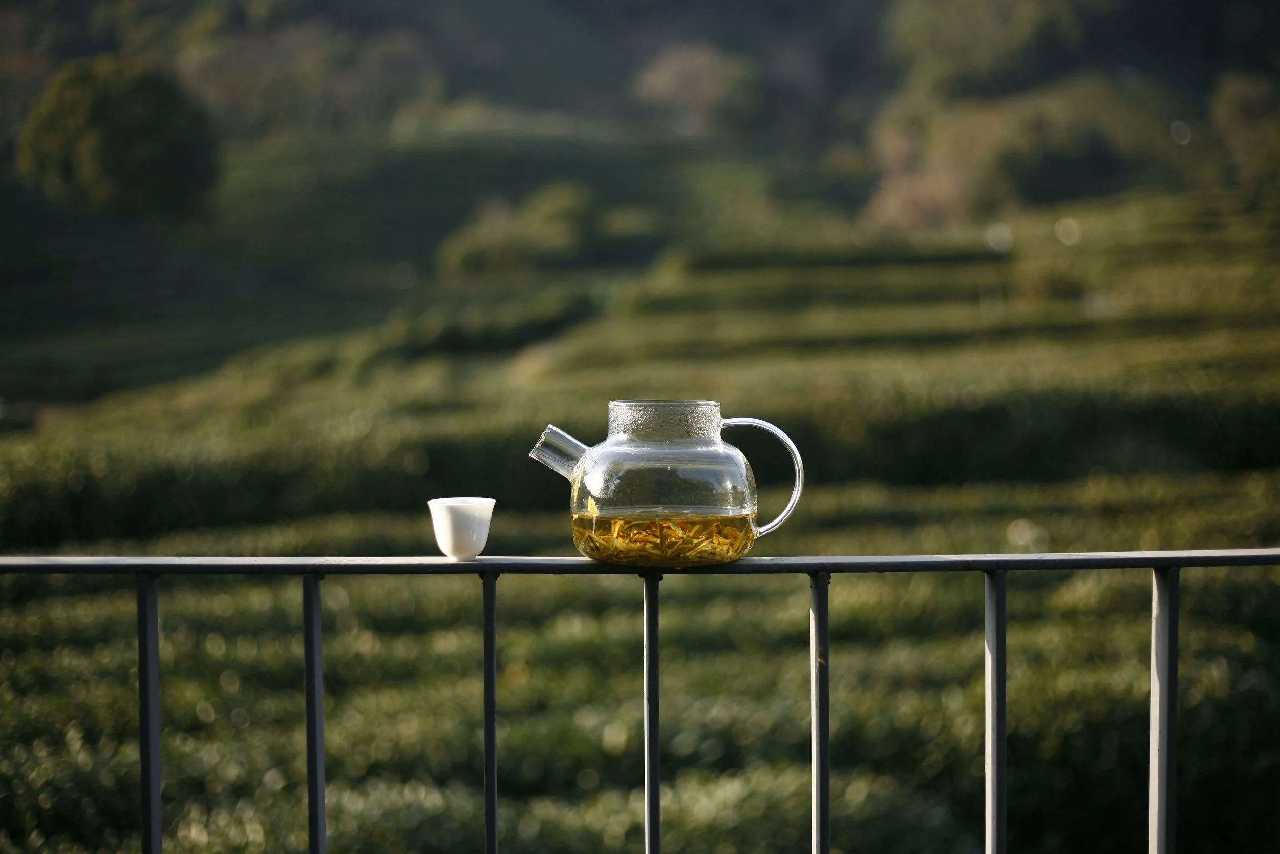 Tea under the moon