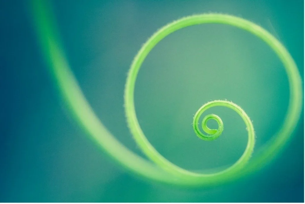 March 2026 Newsletter