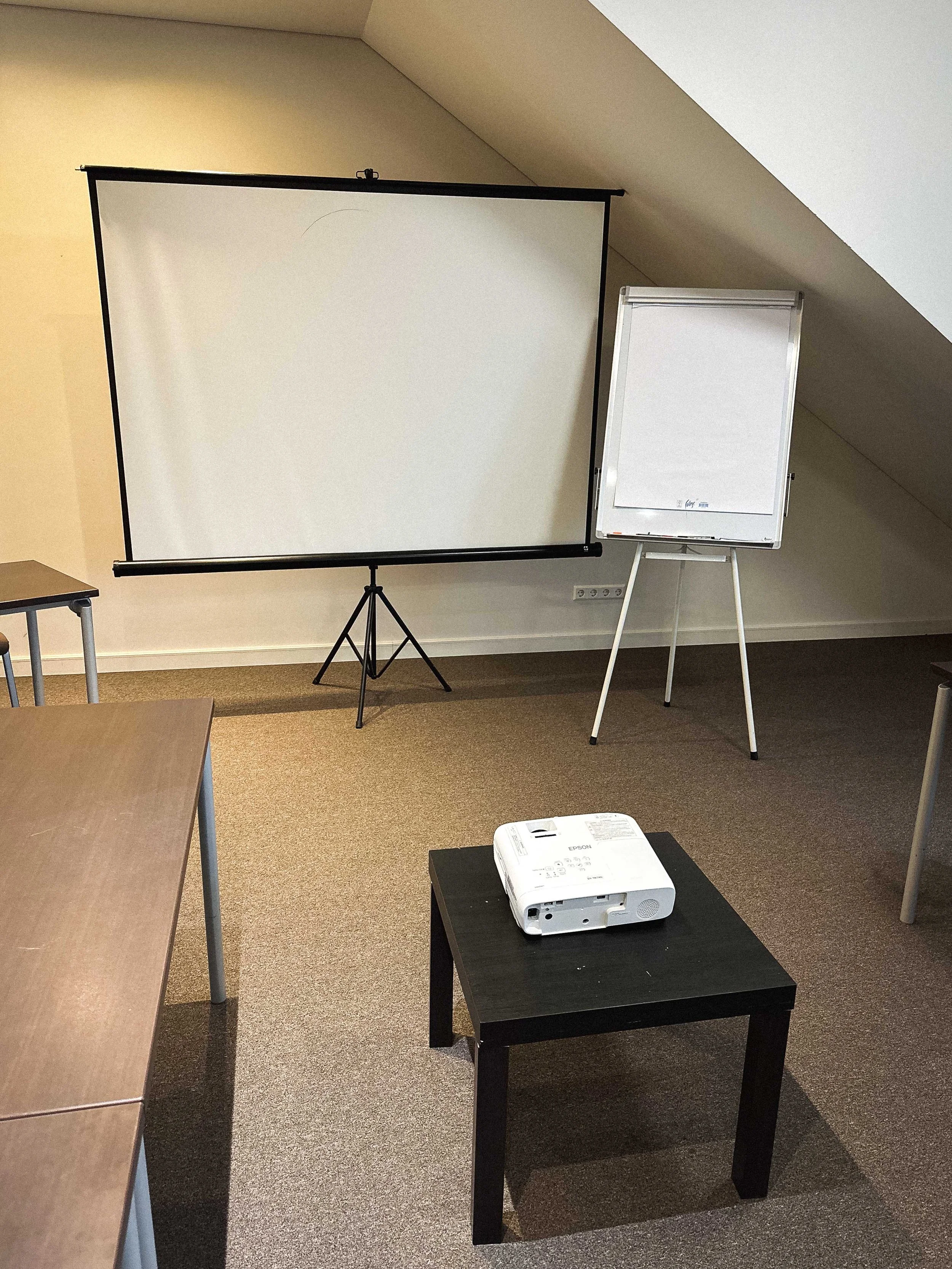 Mažoji konferencijų salė, projektorius