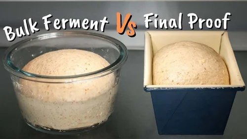 Image showcasing How Long Should Pizza Dough Ferment? (Fermentation vs Proofing ...