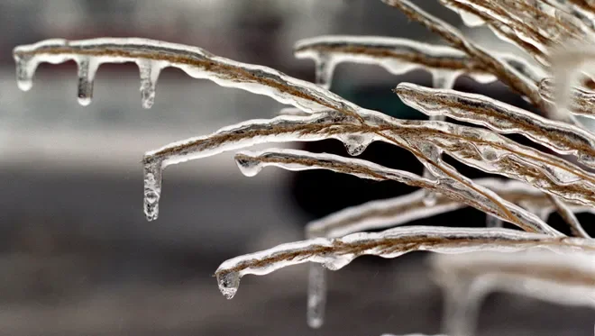 Reflections for this Year 