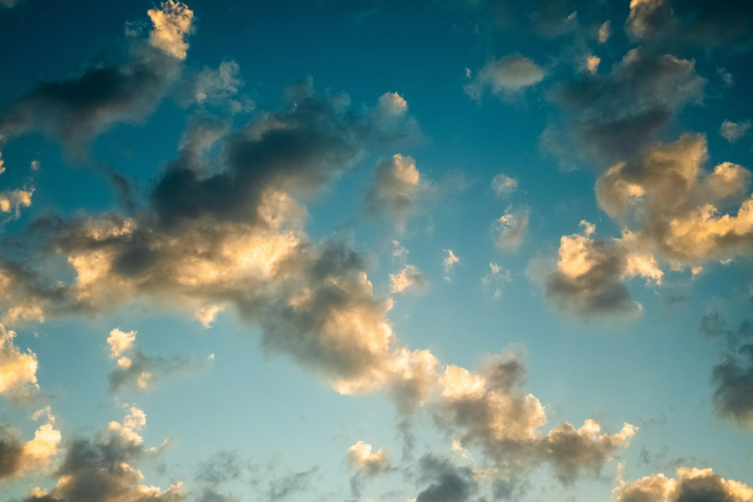 ADHD and the Daydreaming Brain: What the Default Mode Network Has to Do With It