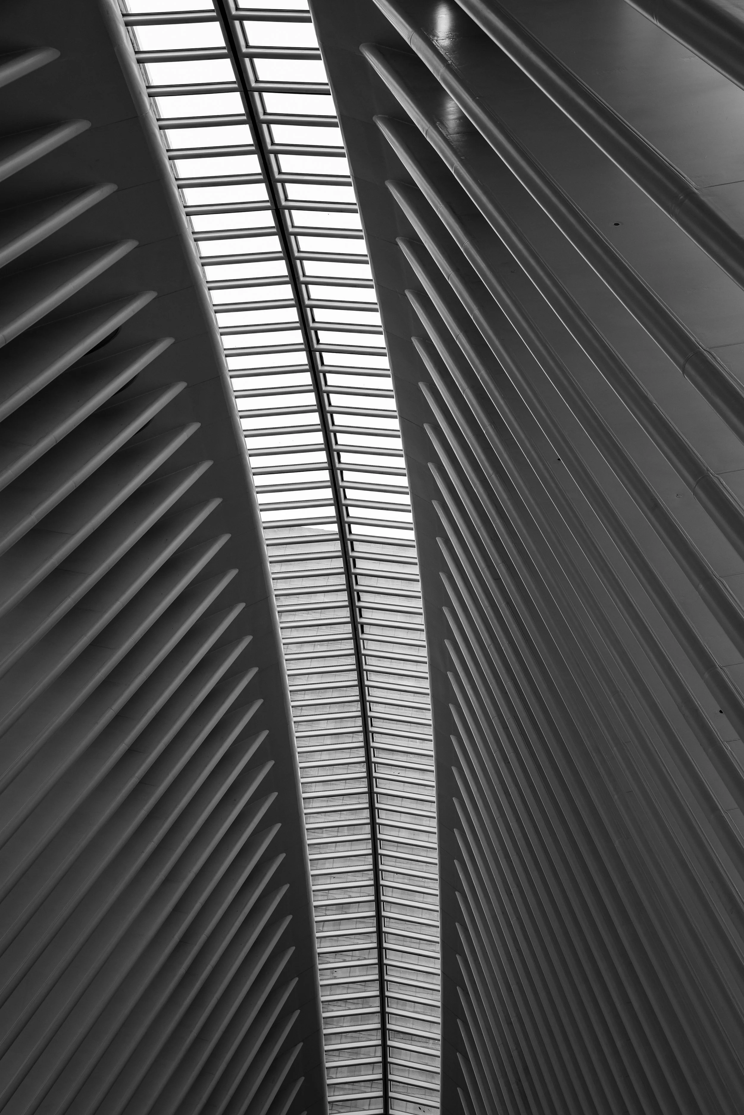 Mr. Calatrava