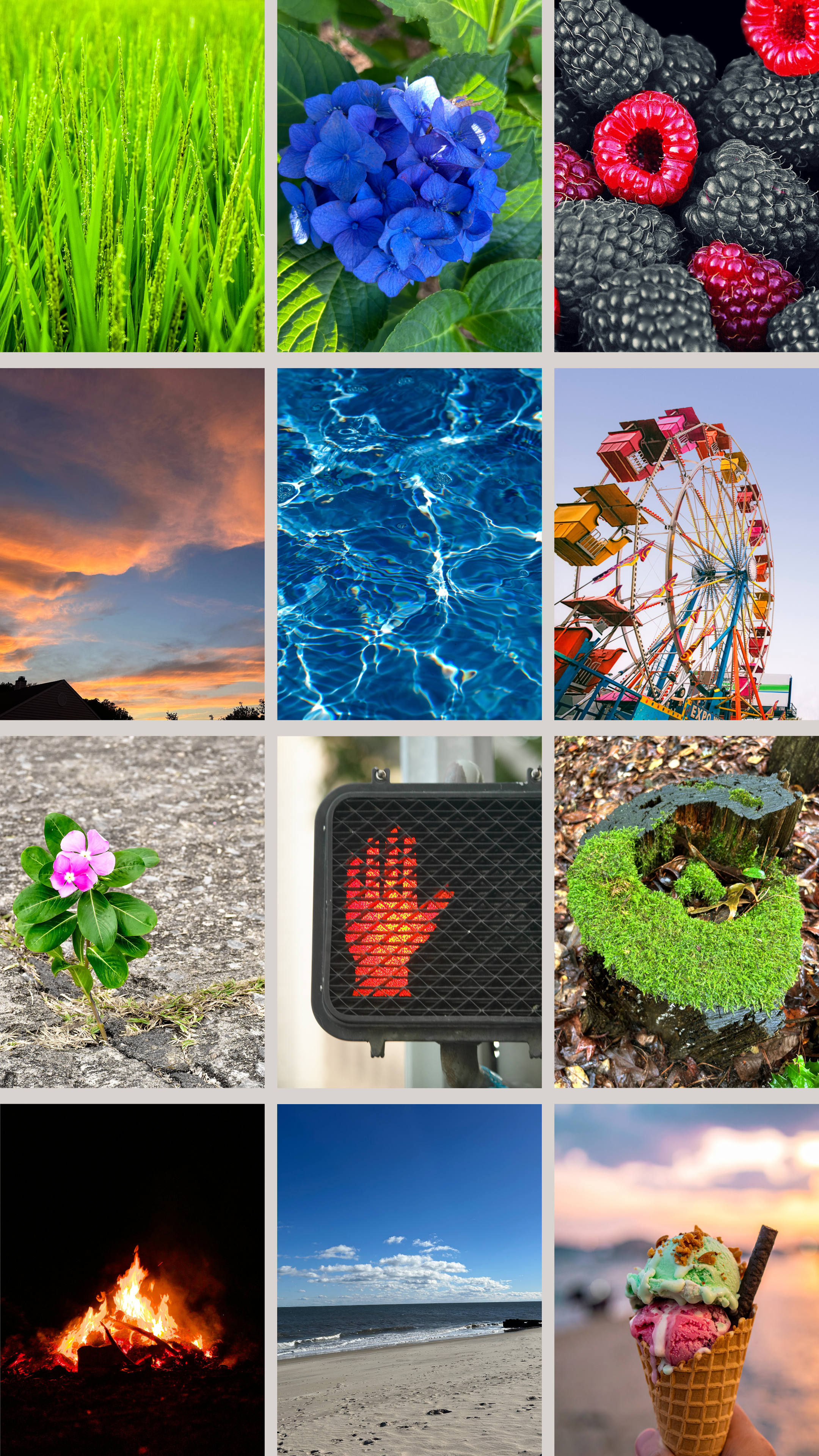 A collage of summertime photos, including green grass, blue hydrangeas, a Ferris wheel, a beach, and a bonfire