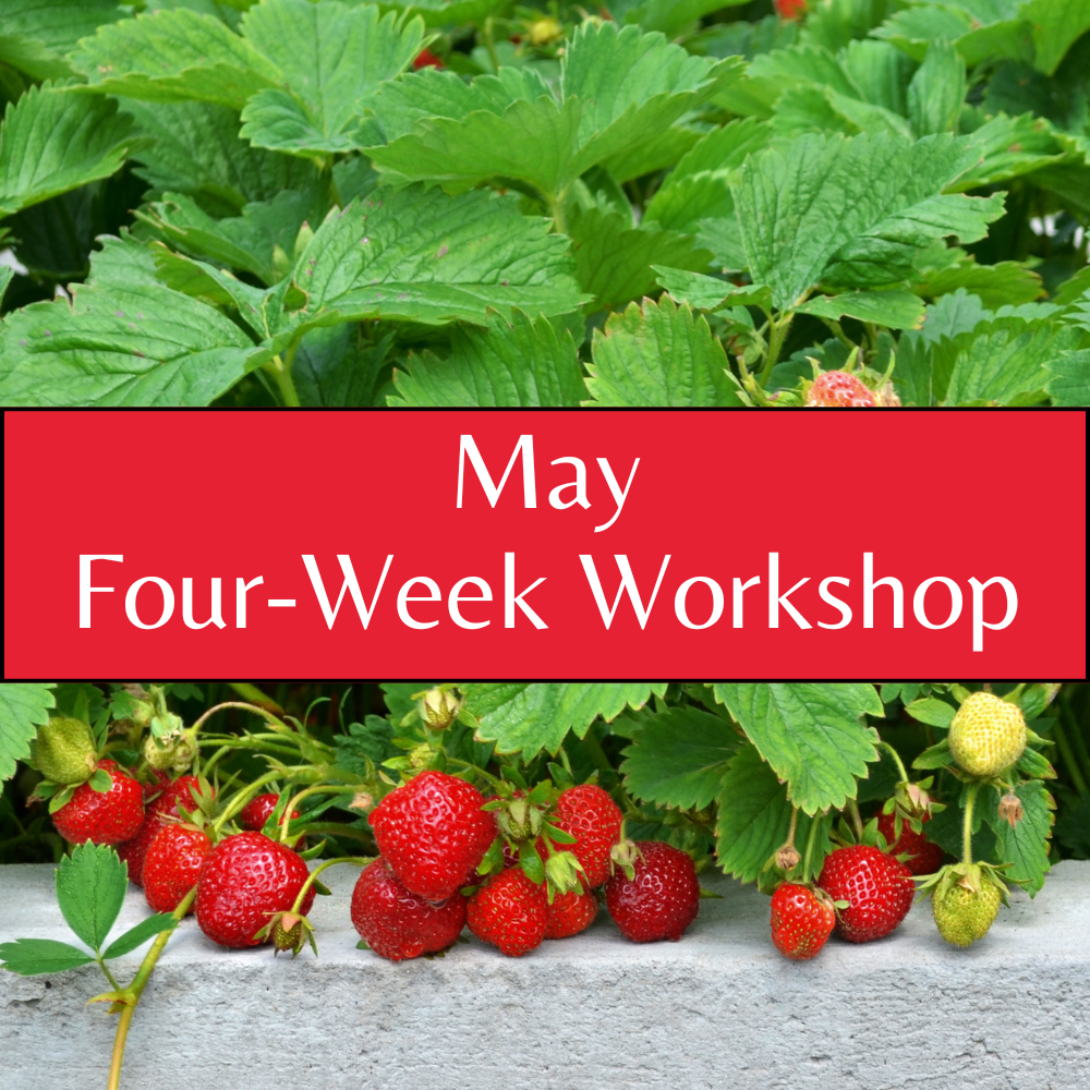 May Poetry Workshop (Thursdays from 6:30-8:30 PM EST, via Zoom)