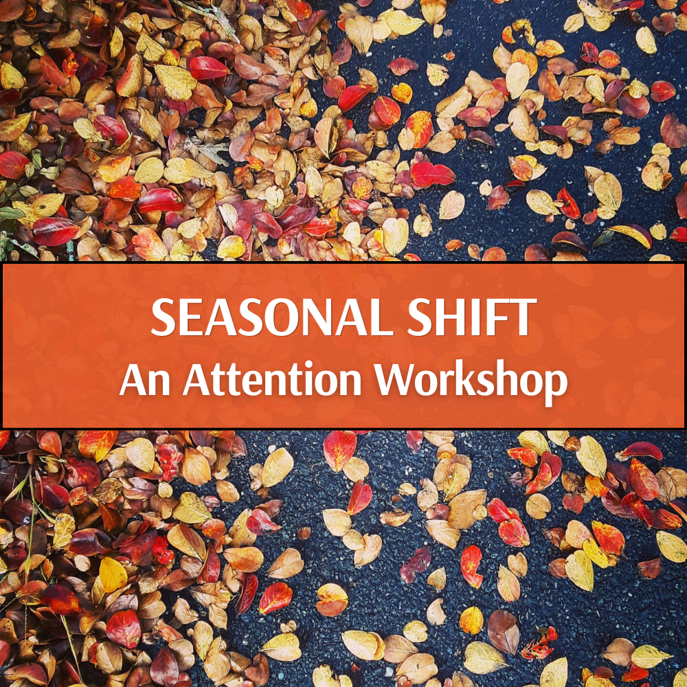 Seasonal Shift Attention Workshop (1).png
