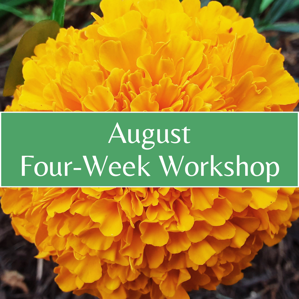 August Four-Week Workshop.png