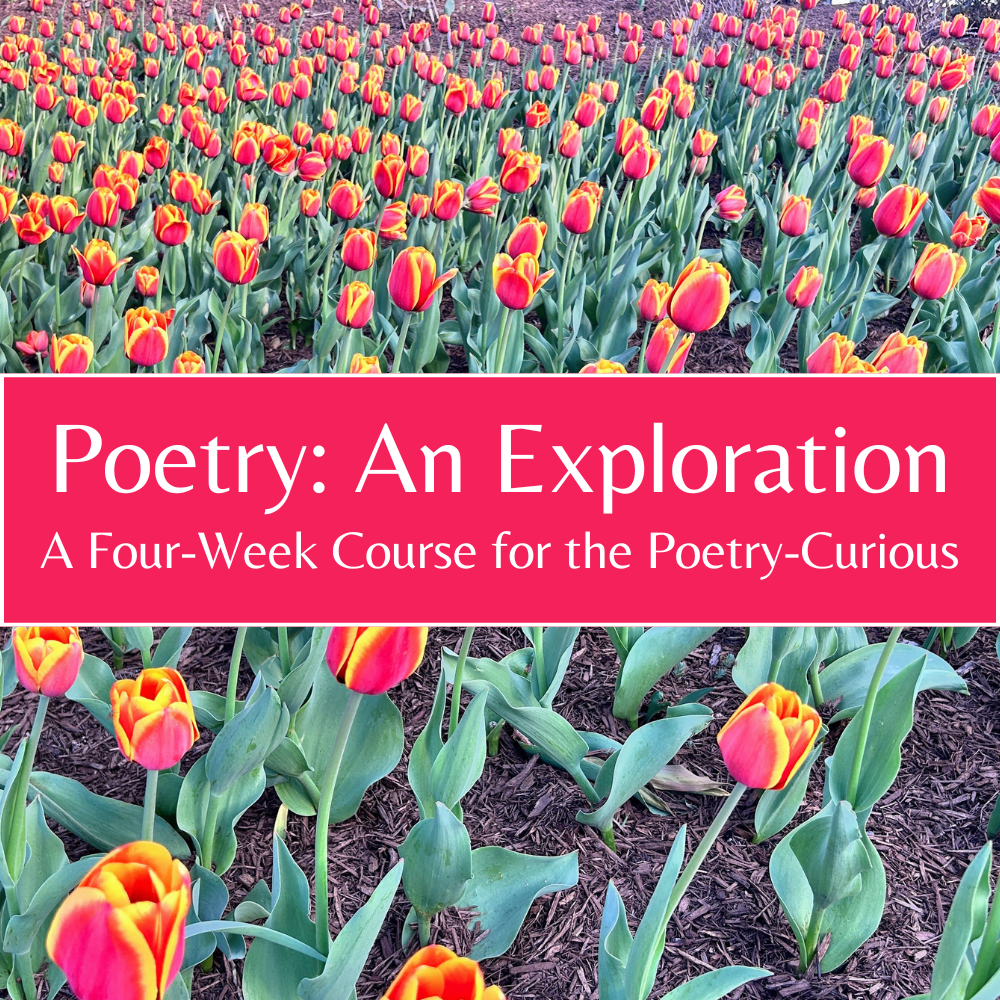 Poetry Exploration2.png