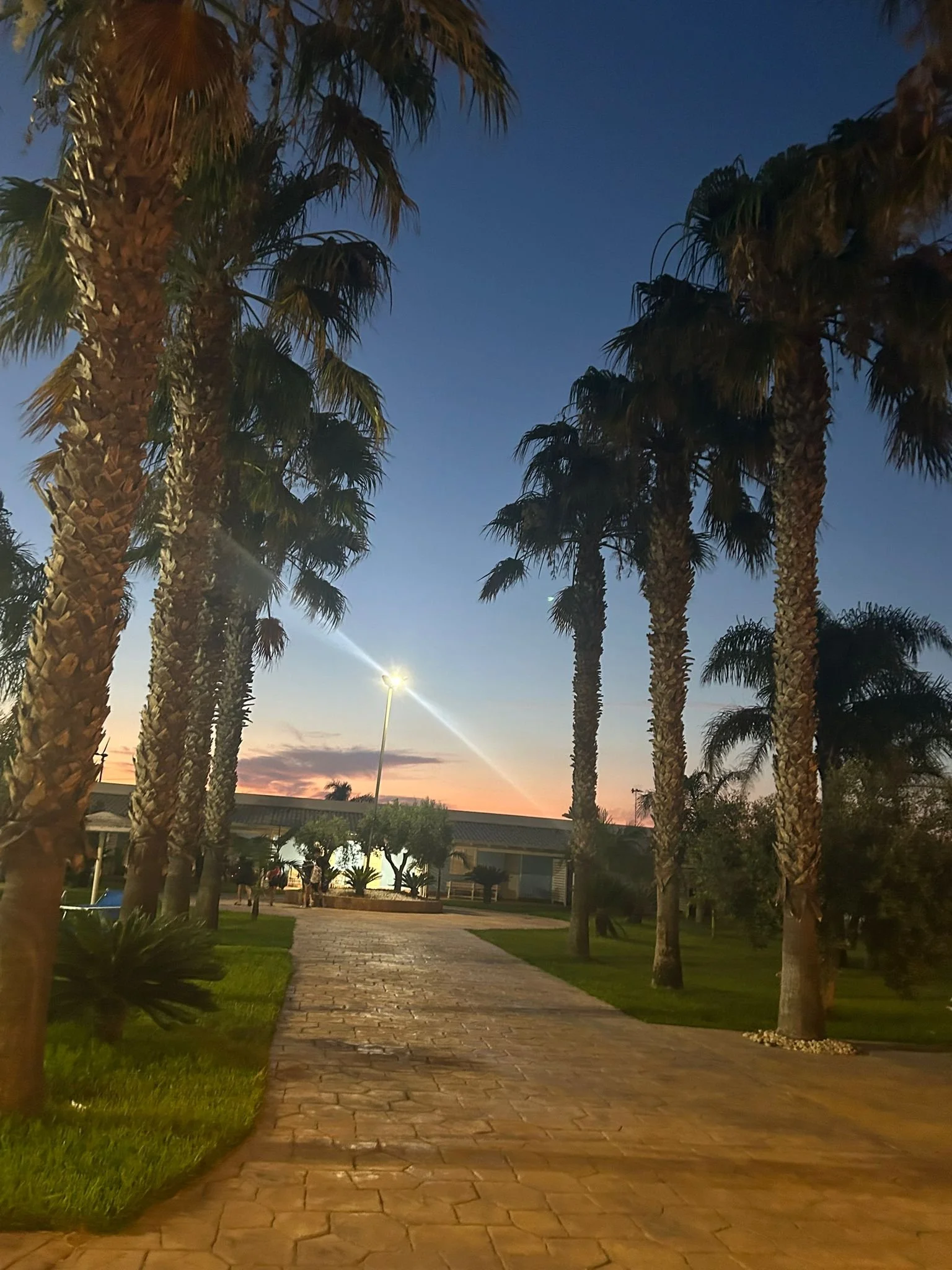 WhatsApp Image 2025-07-16 at 4.18.10 PM (1).jpeg