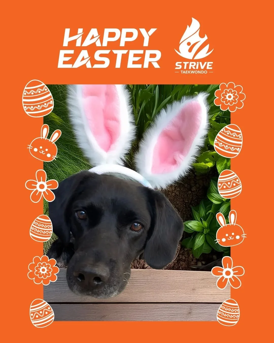 🌸 Easter blessings to all. May our days be calm, quiet, and full of peace ❤