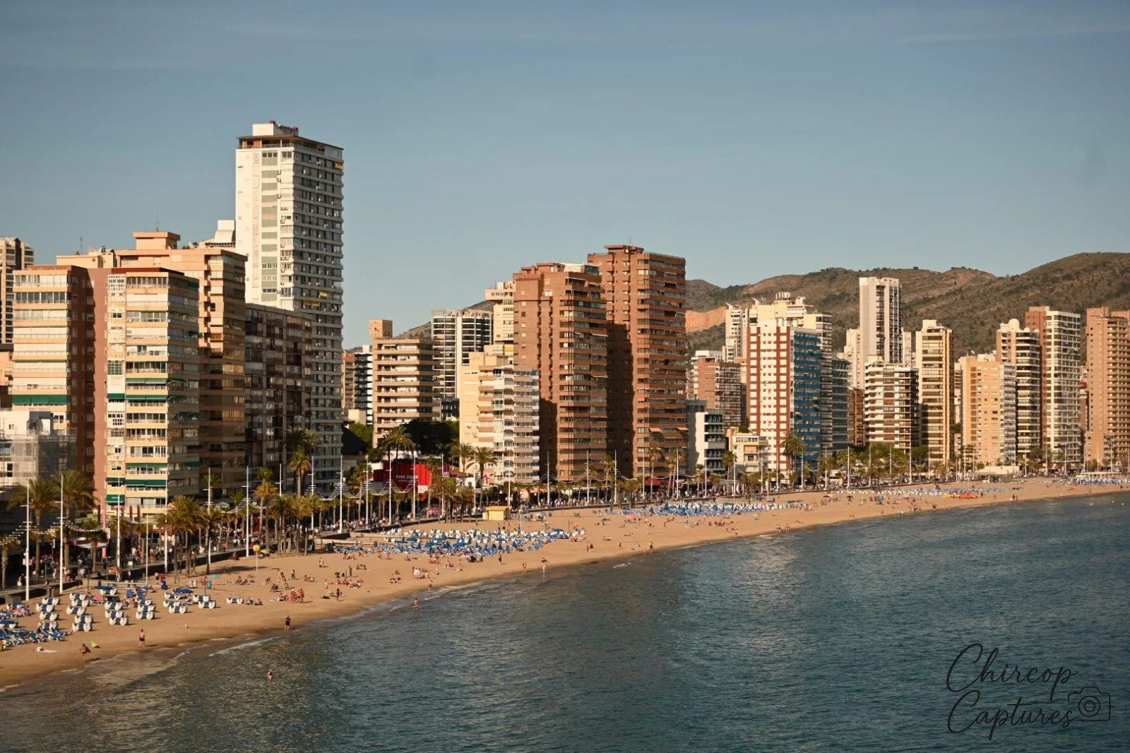 WhatsApp Image 2026-04-30 at 4.31.58 PM (1).jpeg