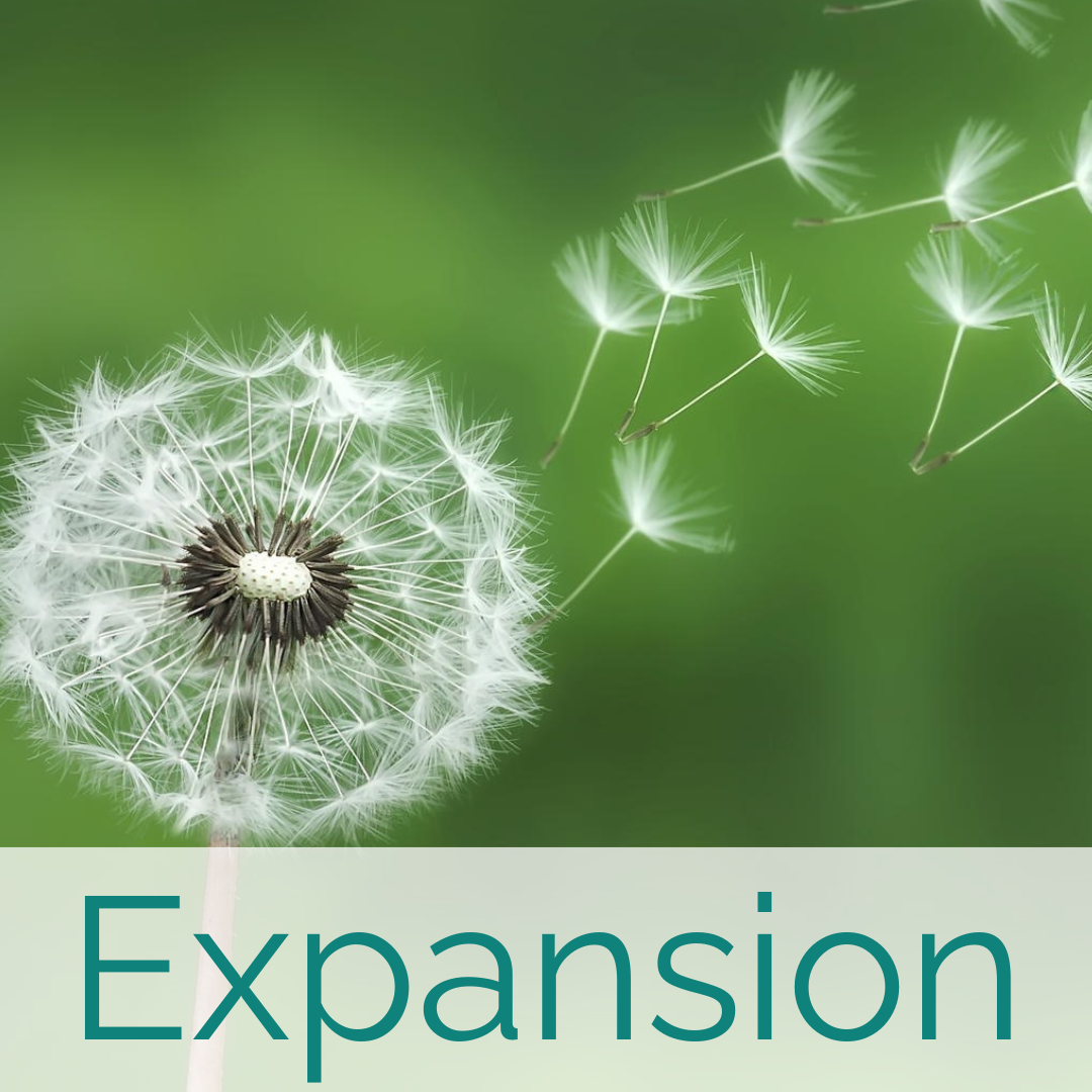 Assuring the continued development, expansion, and stability of the birth center model of care.