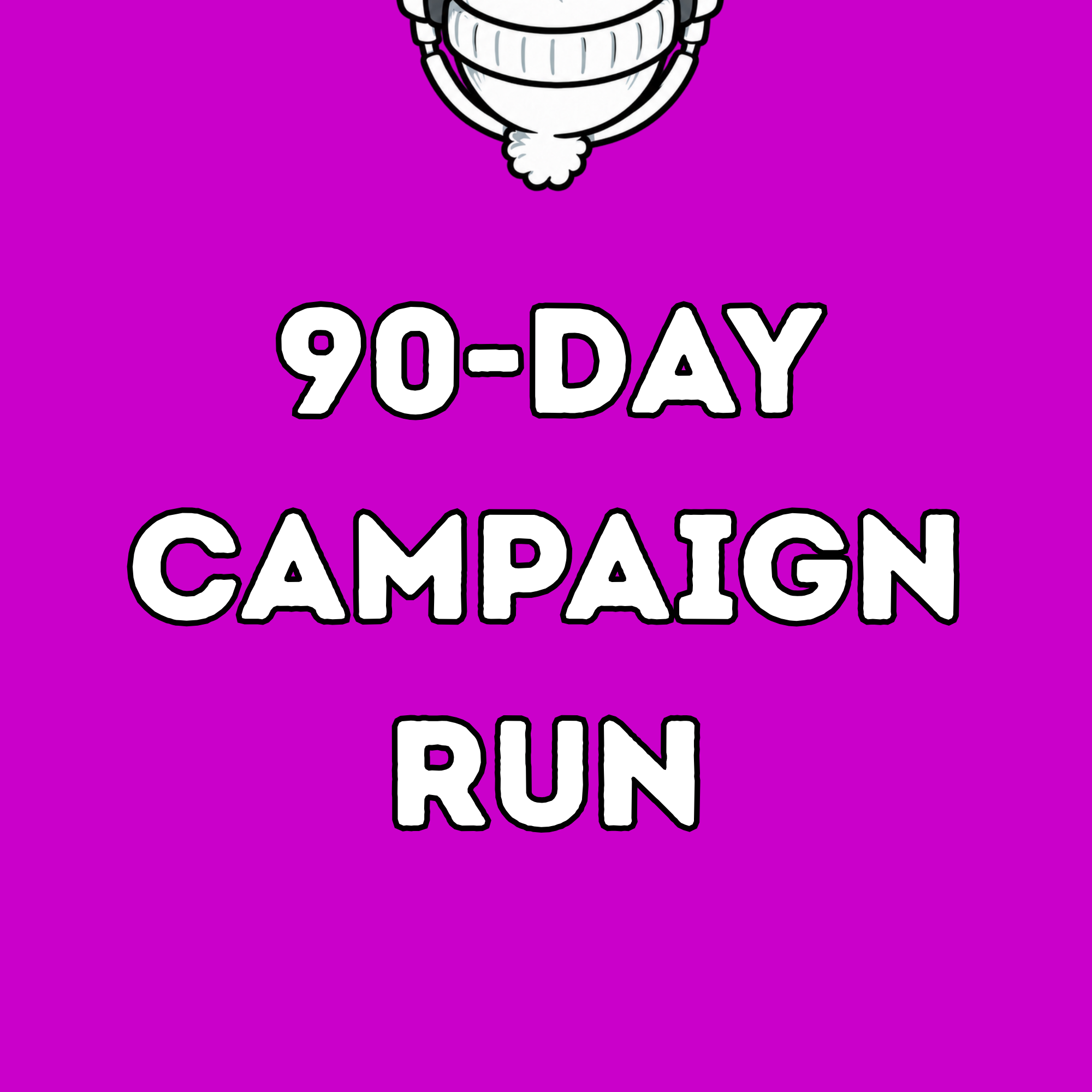 90-Day Campaign Run