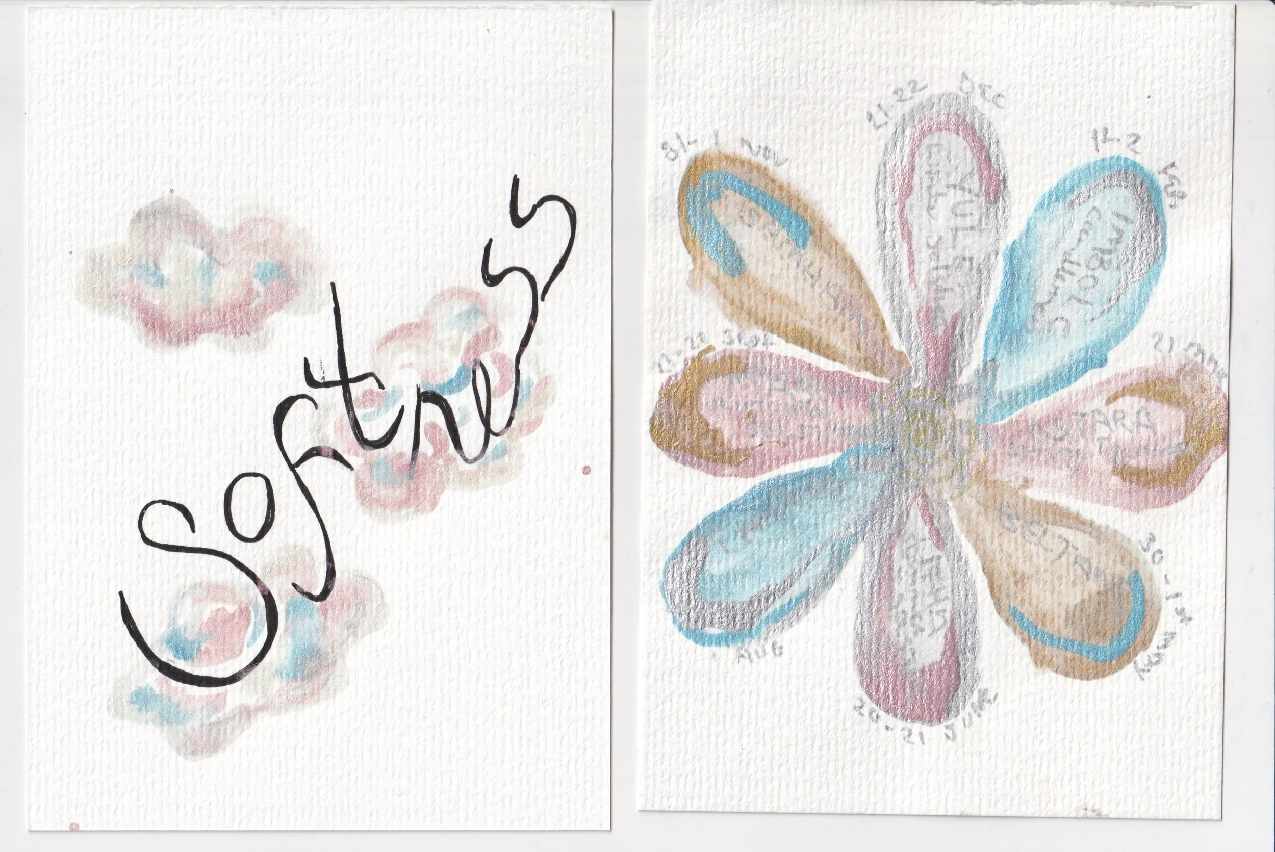 January Check In, Soft Beginnings, and What’s Unfolding