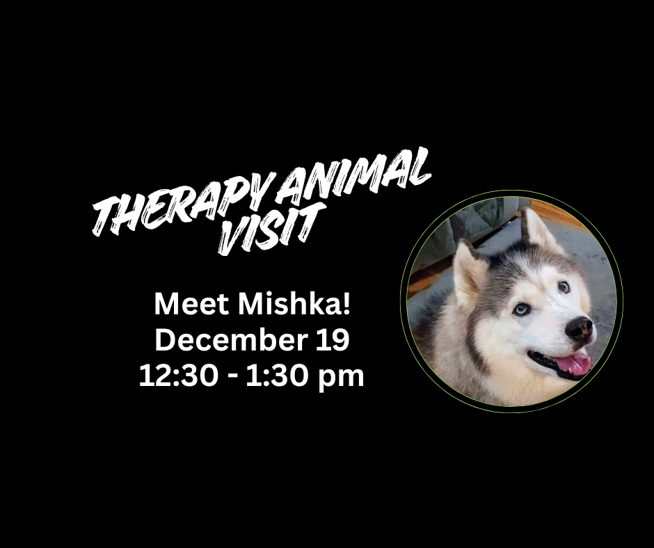 Therapy Animal Visit 