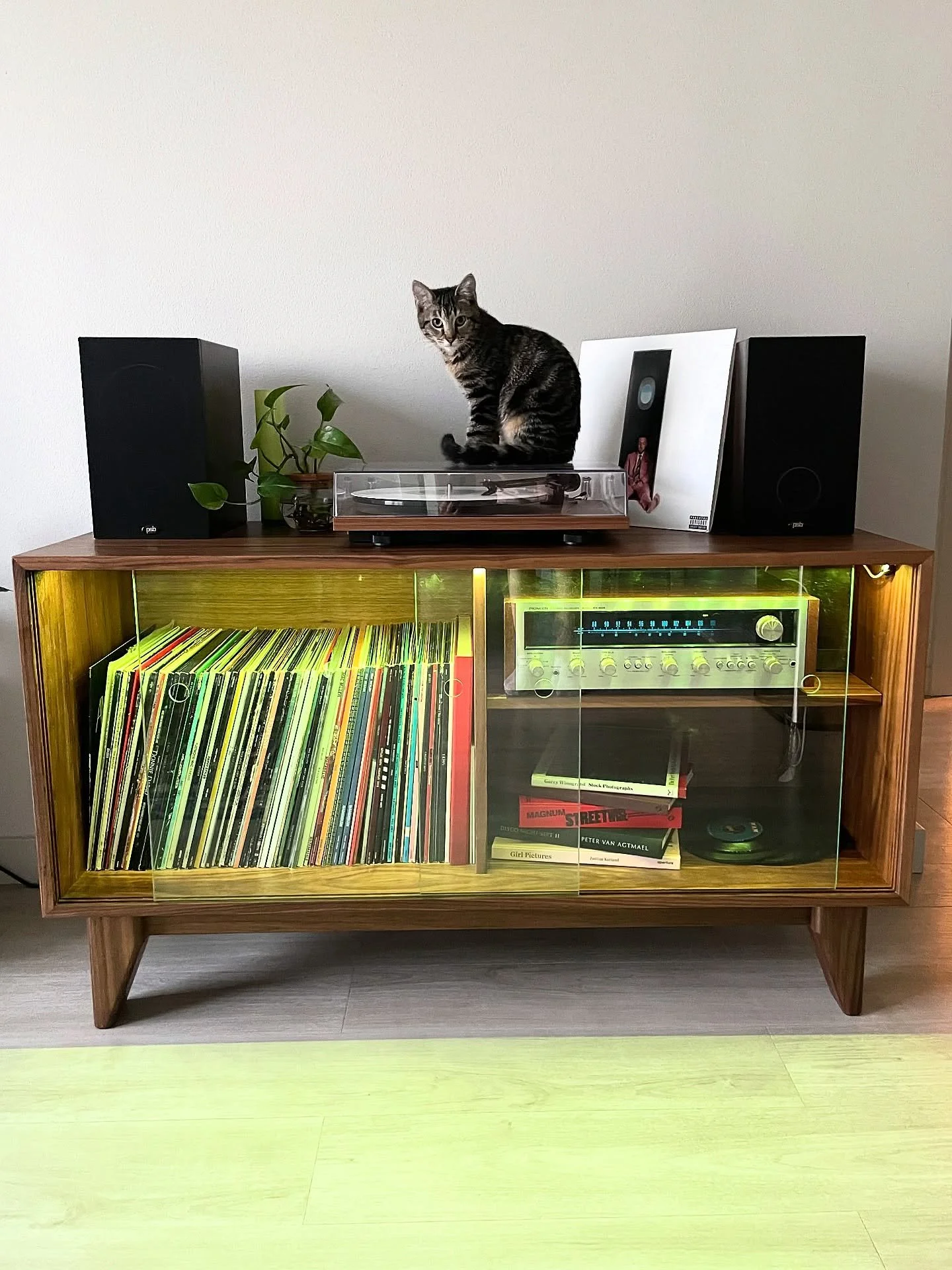 Record credenza for Missy 🐾 🏊&zwj;♀️ 🎶 
🐈&zwj;⬛ 🐈 

#glassandwalnut 
#hardwoodfurniture #recordcollection #recordcredenza #walnutfurniture #blackwalnut #macmiller #temperedglass #macmillerswimming #midmodcats #cats #interiordesigncat #vinyllover