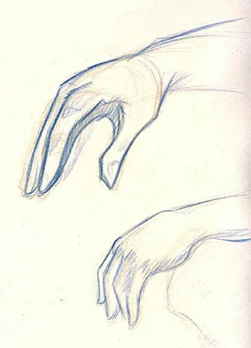 Life Drawing Excerpts