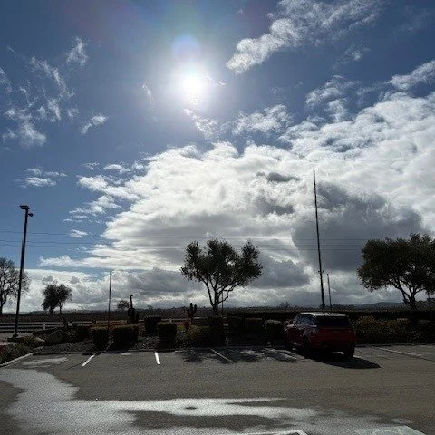 The weather report said it would be cold &amp; rainy all day today, but it was wrong.  It's a beautiful day at Le Vigne!  The sun is out.  There's a nice breeze.  PPK food truck @ppk_on_the_park is here serving delicious pizza &amp; pasta until 3 PM.