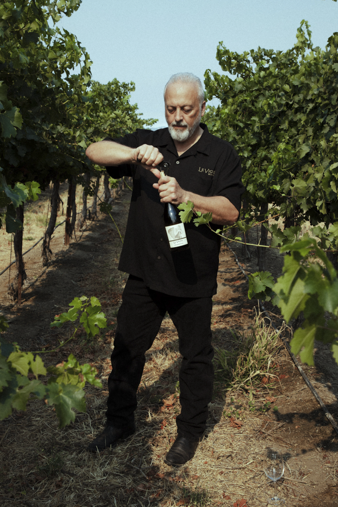 Le Vigne Winery and the Crafting of Italian Heritage in California Vineyards