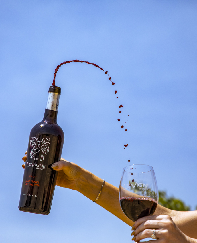 Cabernet Sauvignon                                                                       Ideal for Wintertime Sipping and Meals