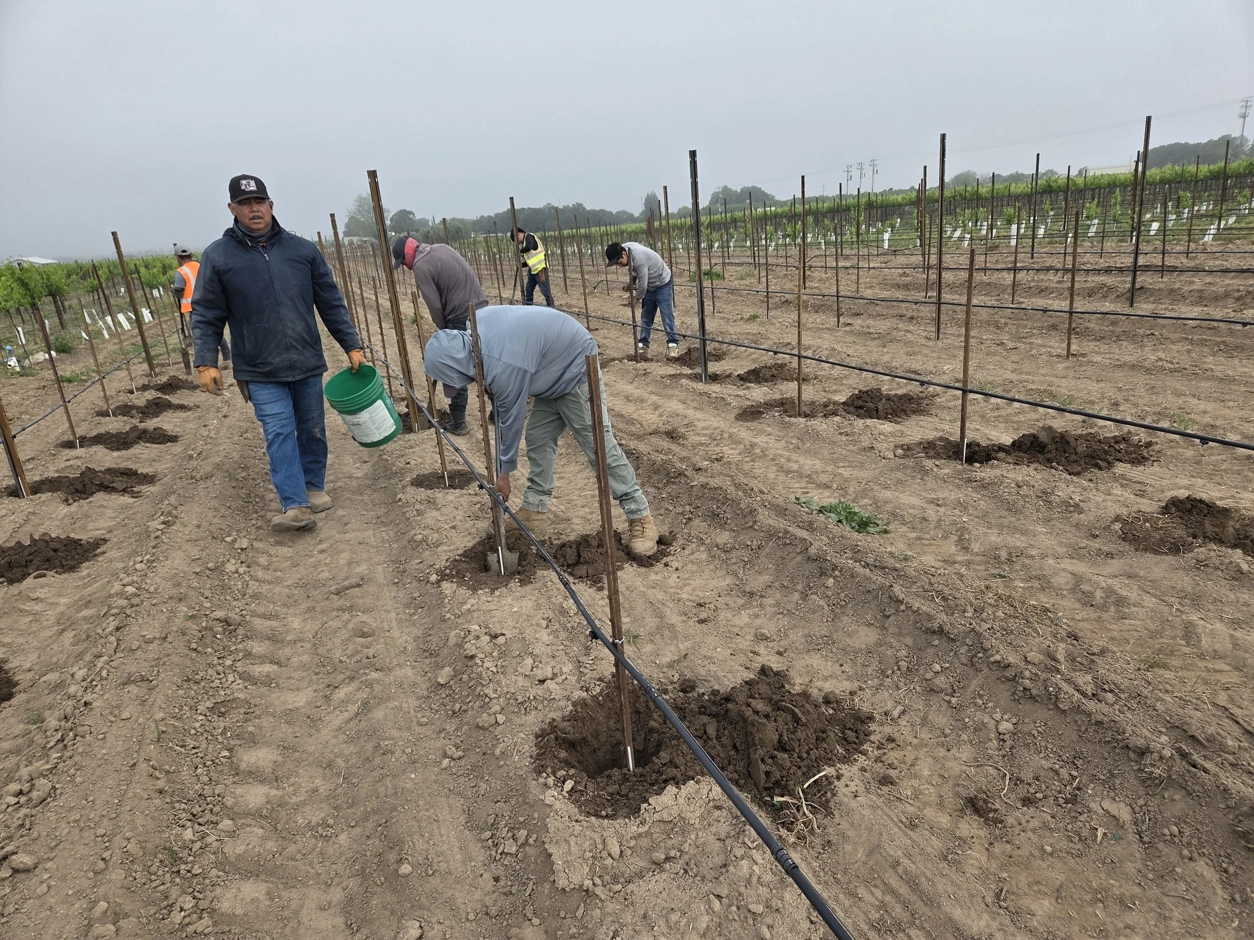 A Season for Future Success: Planting