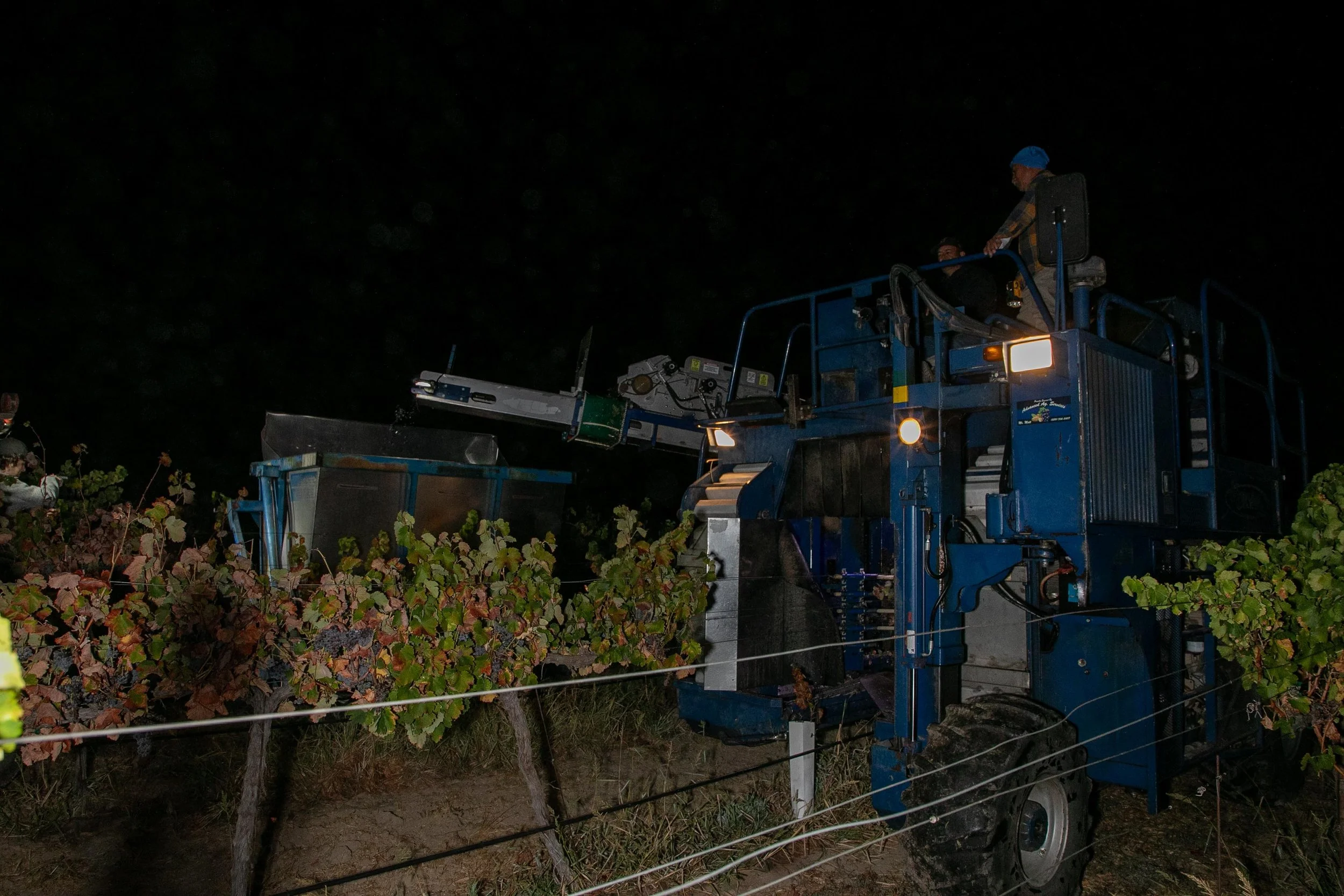 Reflections on Harvest 2026