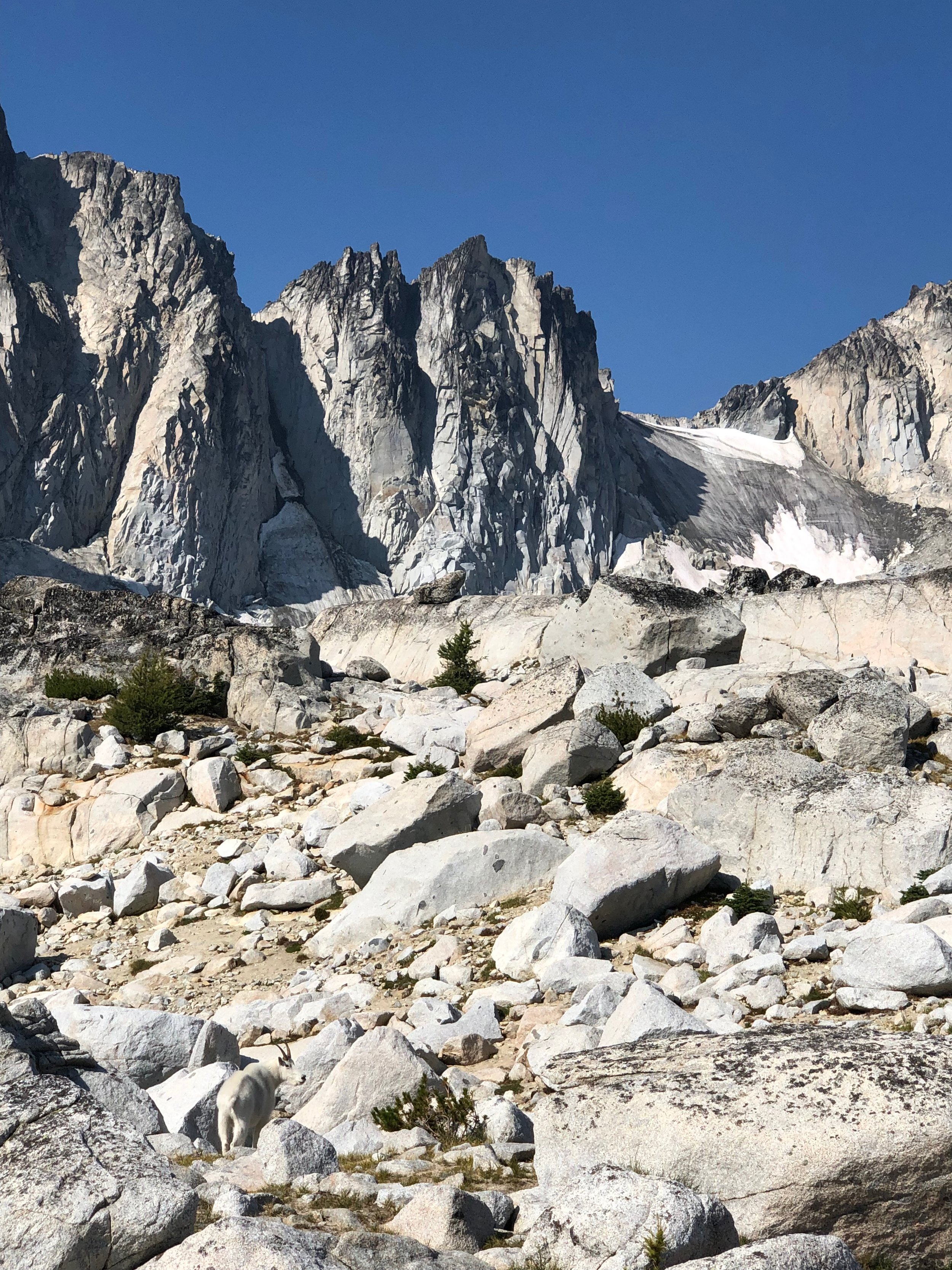 Mountain Goat (bottom left) near Lake Tranquil, with Witch's Tower in the background (middle)
