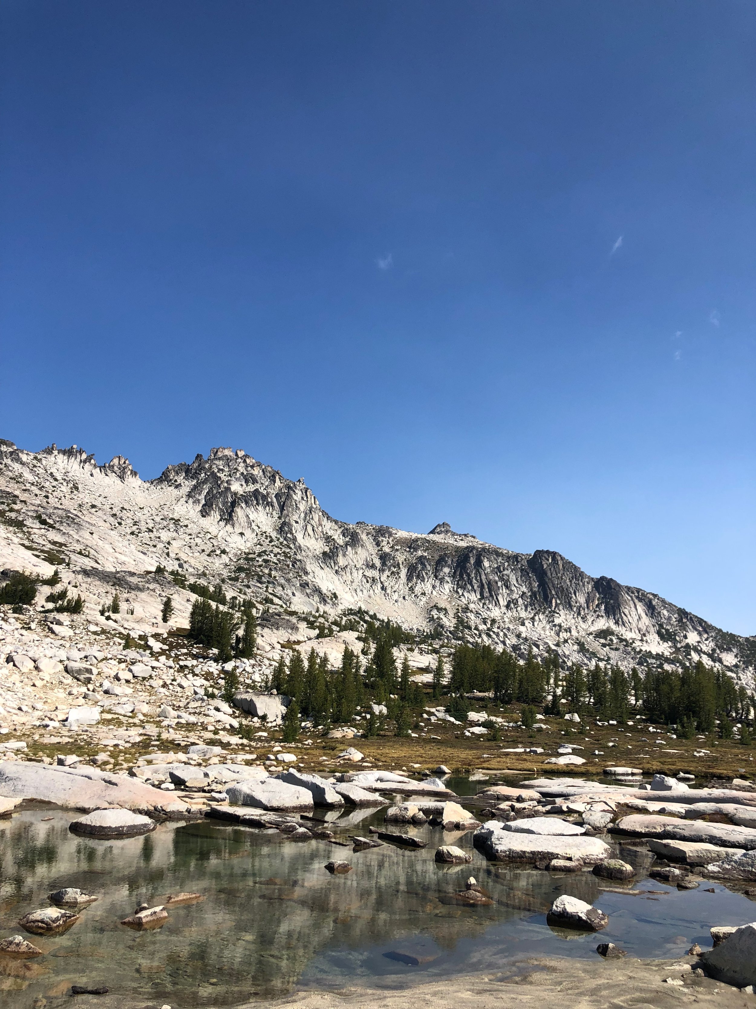 IMG_6947.jpeg