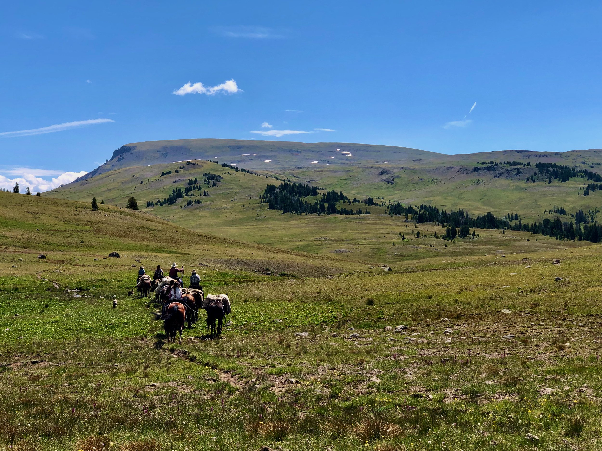 Horsepackers
