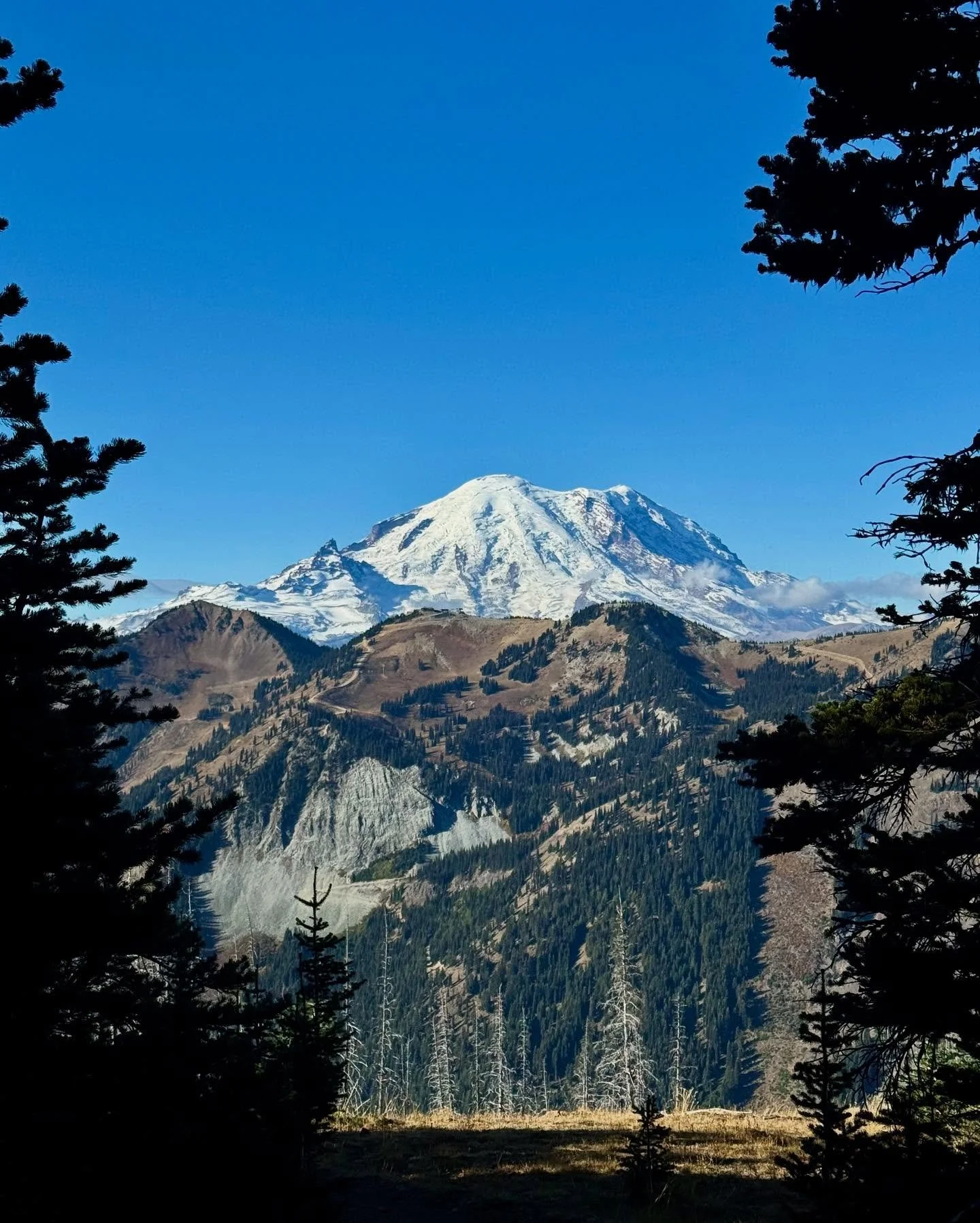 PCT: WA Section I - Highway 12 to Snoqualmie Pass

Got a good weather window so left Snoqualmie shortly after a resupply and hit the trail. It was still cold but the sun shined for a few continuous days.

The Mike Urich cabin was pretty cool, the Nor