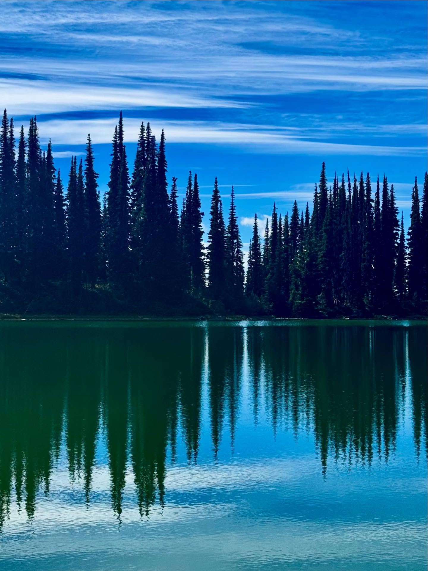 PCT: WA Section K - Rainy Pass to Stevens Pass (SOBO)

I understand why this section is infamous&hellip; it&rsquo;s rugged, has tons of blow down, has an insane amount of ascent and descent, and is long 😅

I started with leaving Mazama fueled up wit