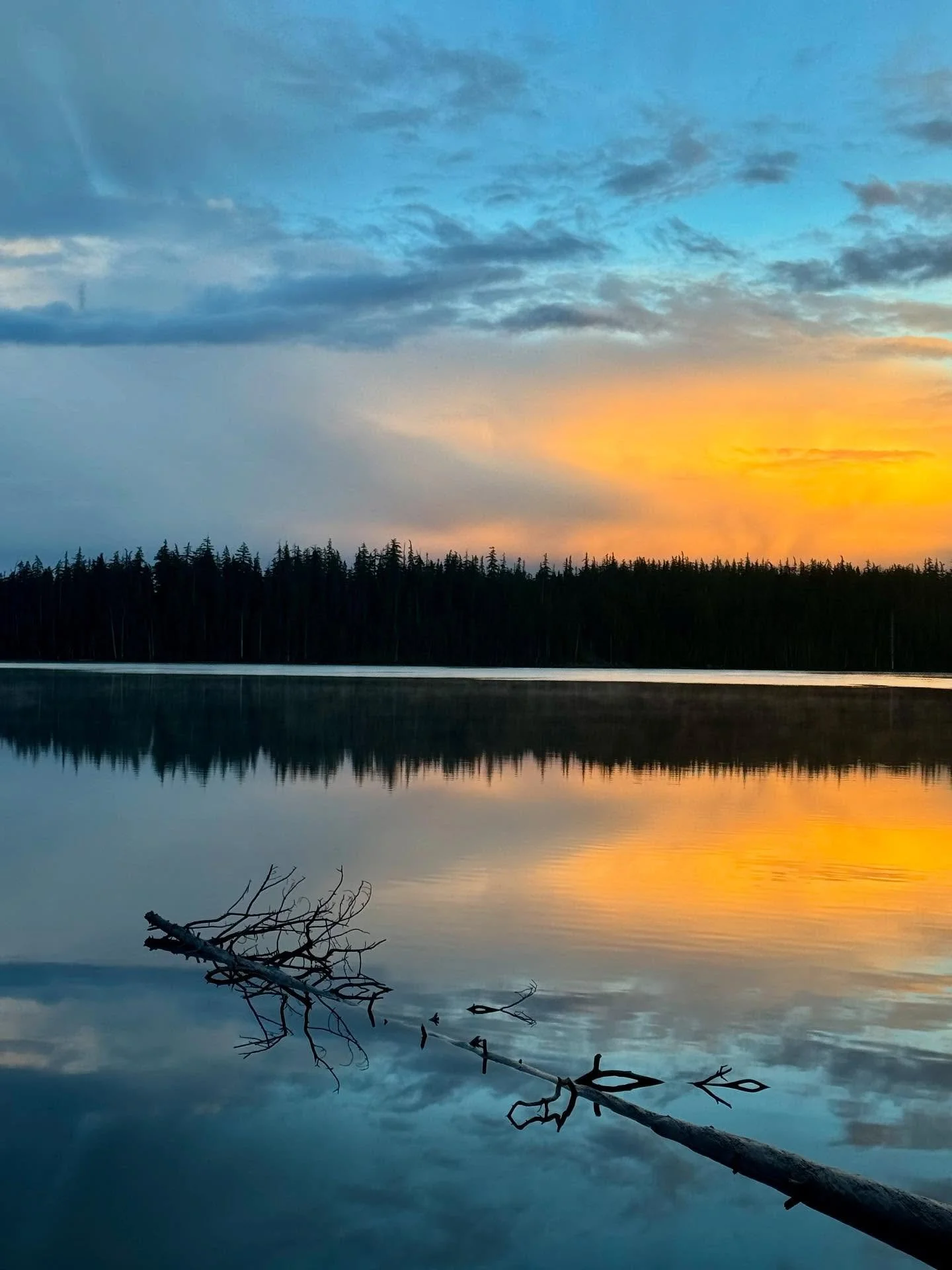 PCT: OR Section E - Highway 58 to Highway 242 (McKenzie Pass)

Lots of rain, fog, mushrooms and lava. After leaving Shelter Cove in a drizzle, I stopped by the Maiden Hut and dried my gear out by the wood burning furnace. While I waited, I saut&eacut