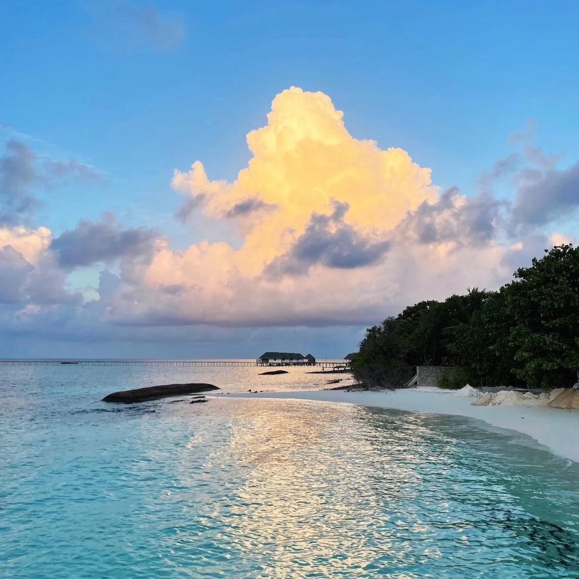 Screenshot 2025-05-01 at 3.20.25 PM.jpg