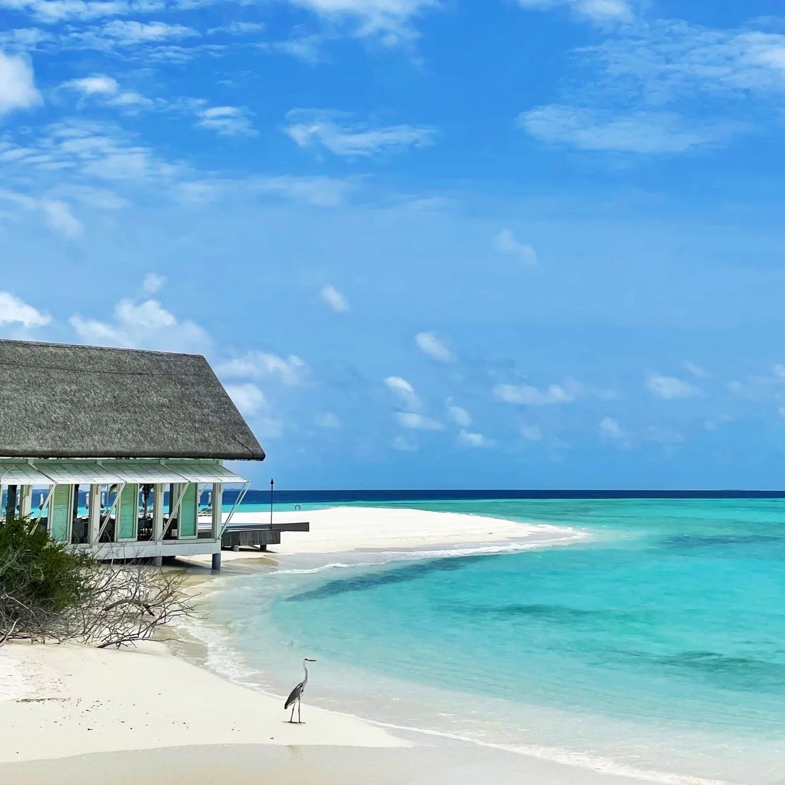 Screenshot 2025-05-09 at 6.26.56 AM.jpg